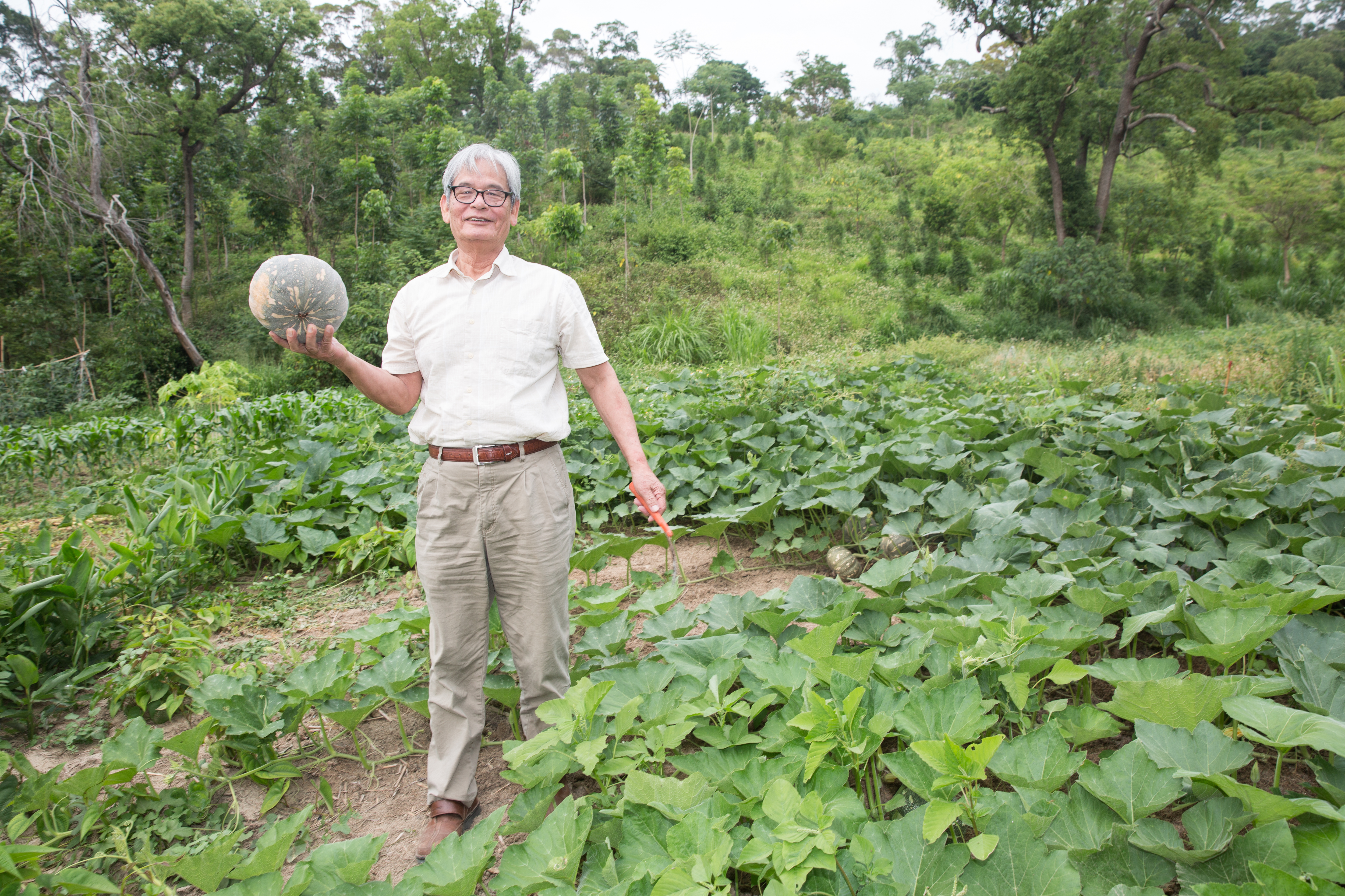 飛牛牧場主人施尚斌栽植的南瓜，成為餐廳食材來源之一。