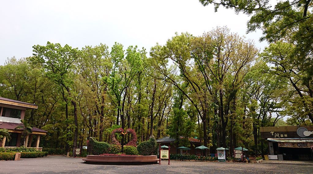 八大森林樂園占地17公頃，園內有國寶級桃花心木森林及各種遊樂設施。（翻攝自網路）