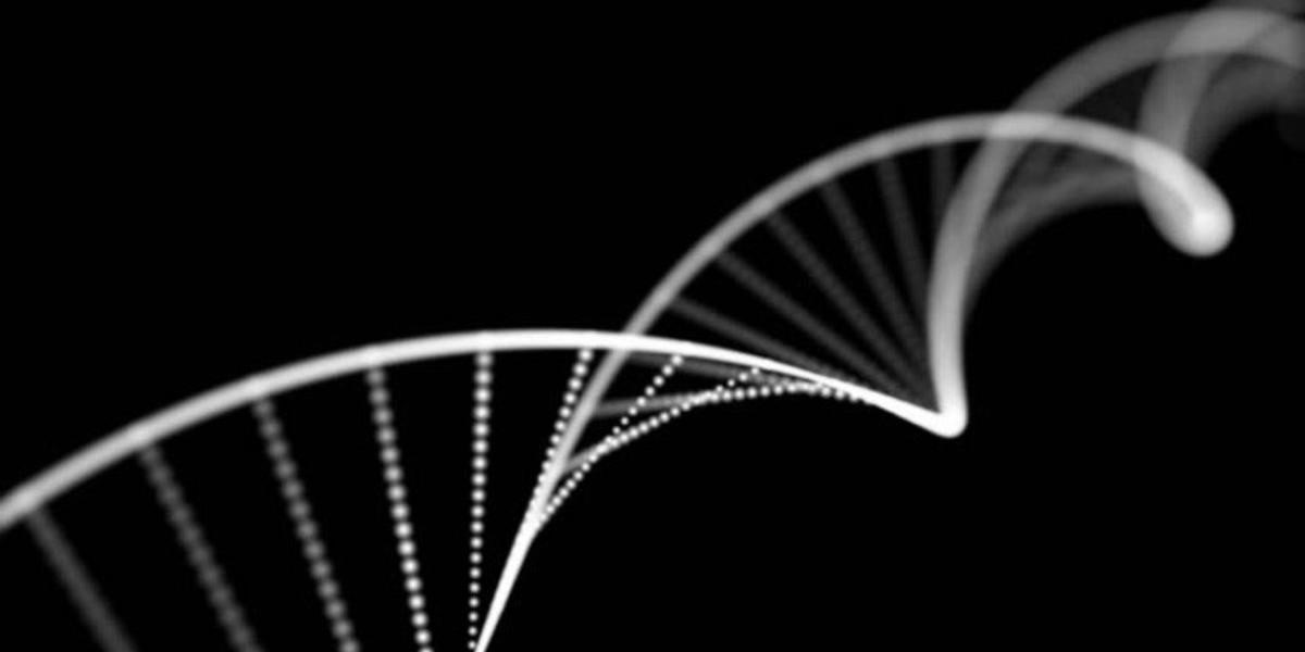 科學家算出死亡的速度：一分鐘30微米