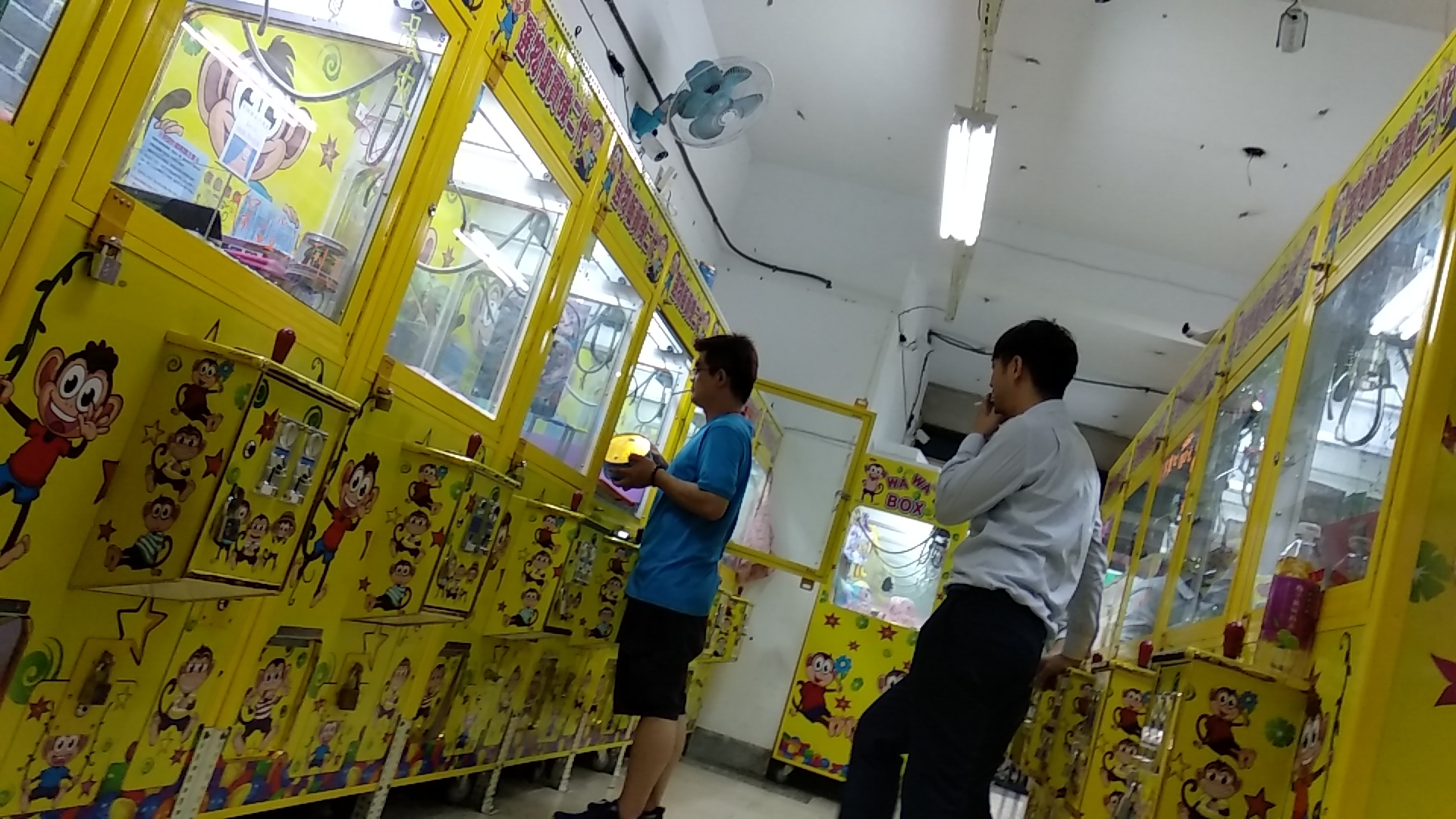 夾娃娃機近兩年在街頭大量開設,據財政部統計資料,全台共有6678間夾娃娃機店面,目前持續增加中。