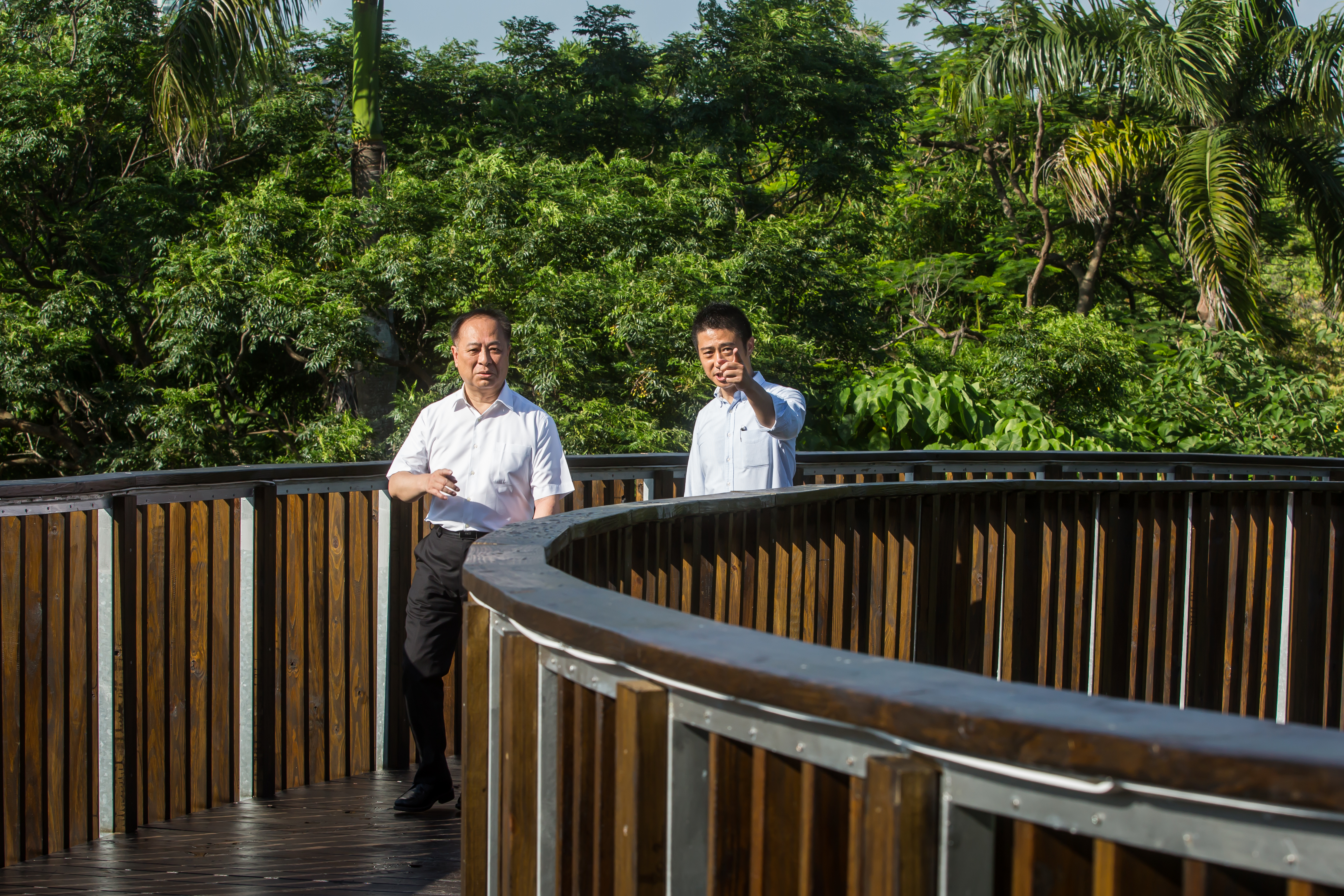 走在通往澄清湖的木棧道上，張學舜（左）黃昏時景色最美。