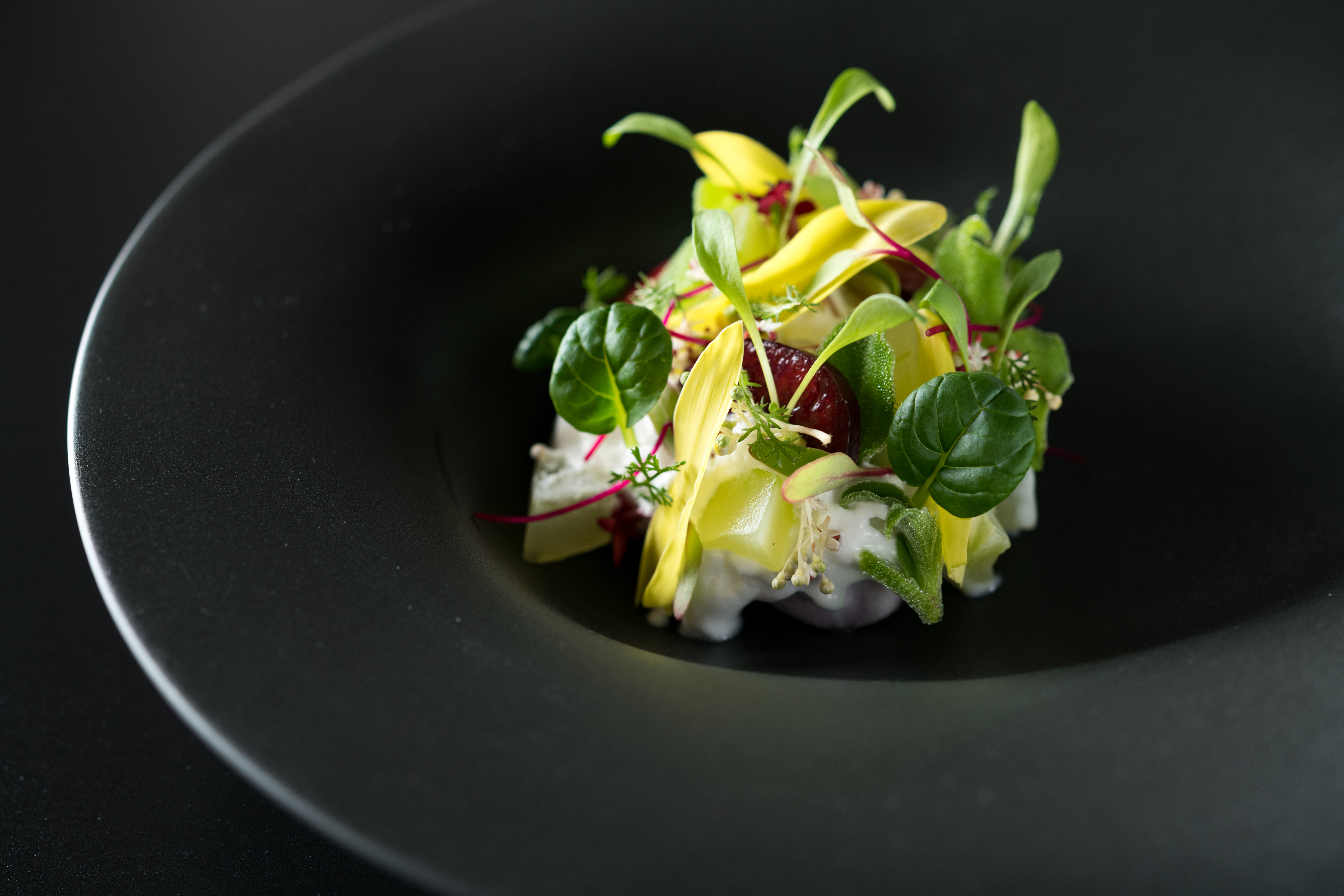 蔬菜或許沒有紅肉性感，但近來也開始有機會成為餐盤主舞台要角。圖為「Orchid Restaurant 蘭」將在9月份的「大蔬無界」餐會端上的熱帶風情「椰子慕絲季節蔬菜沙拉」。