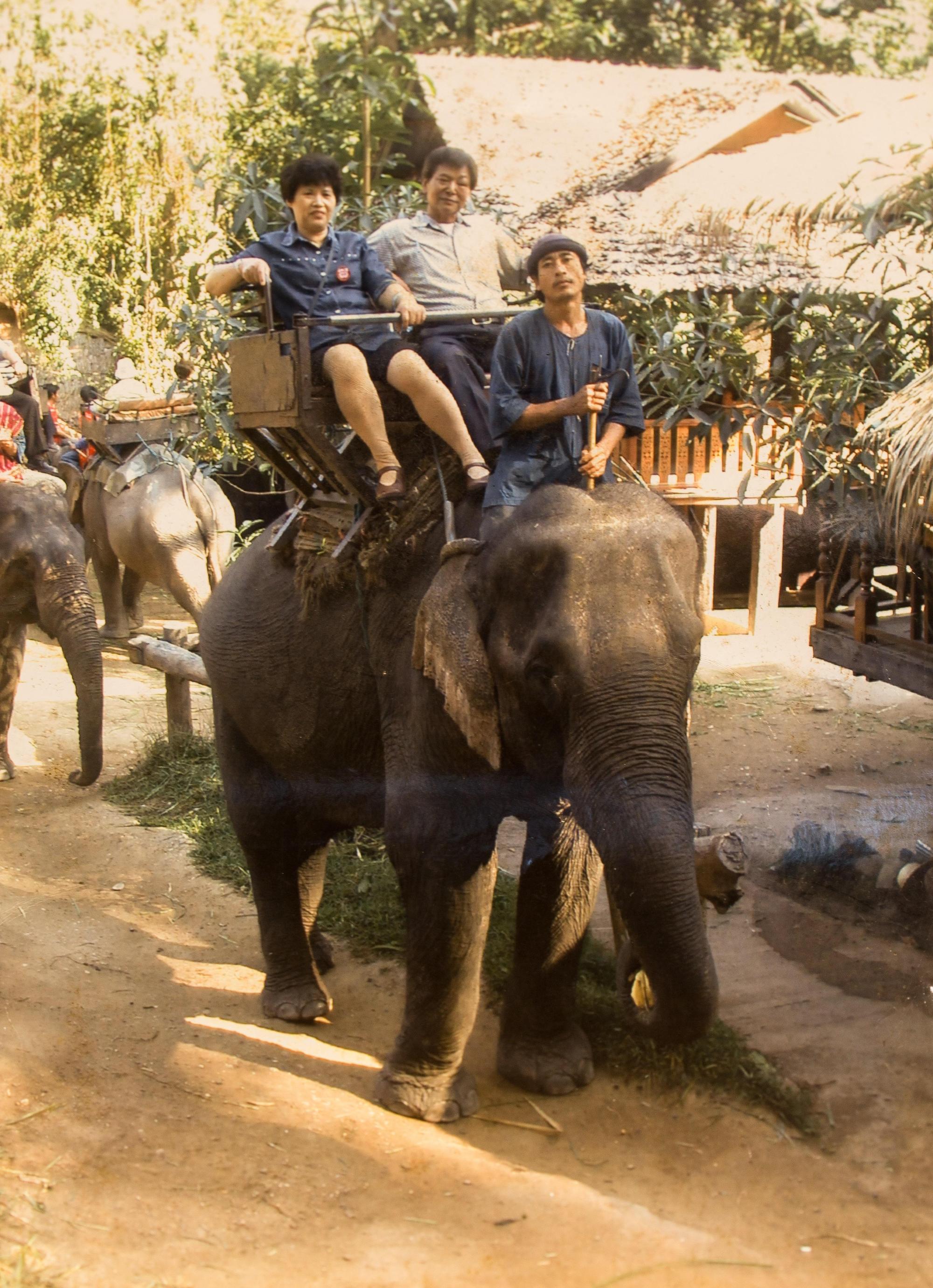 孩子長大後,蔡豐筠和先生陳慶隆偶爾會到國外旅遊,2人曾到泰國騎大象。(幸發亭提供)