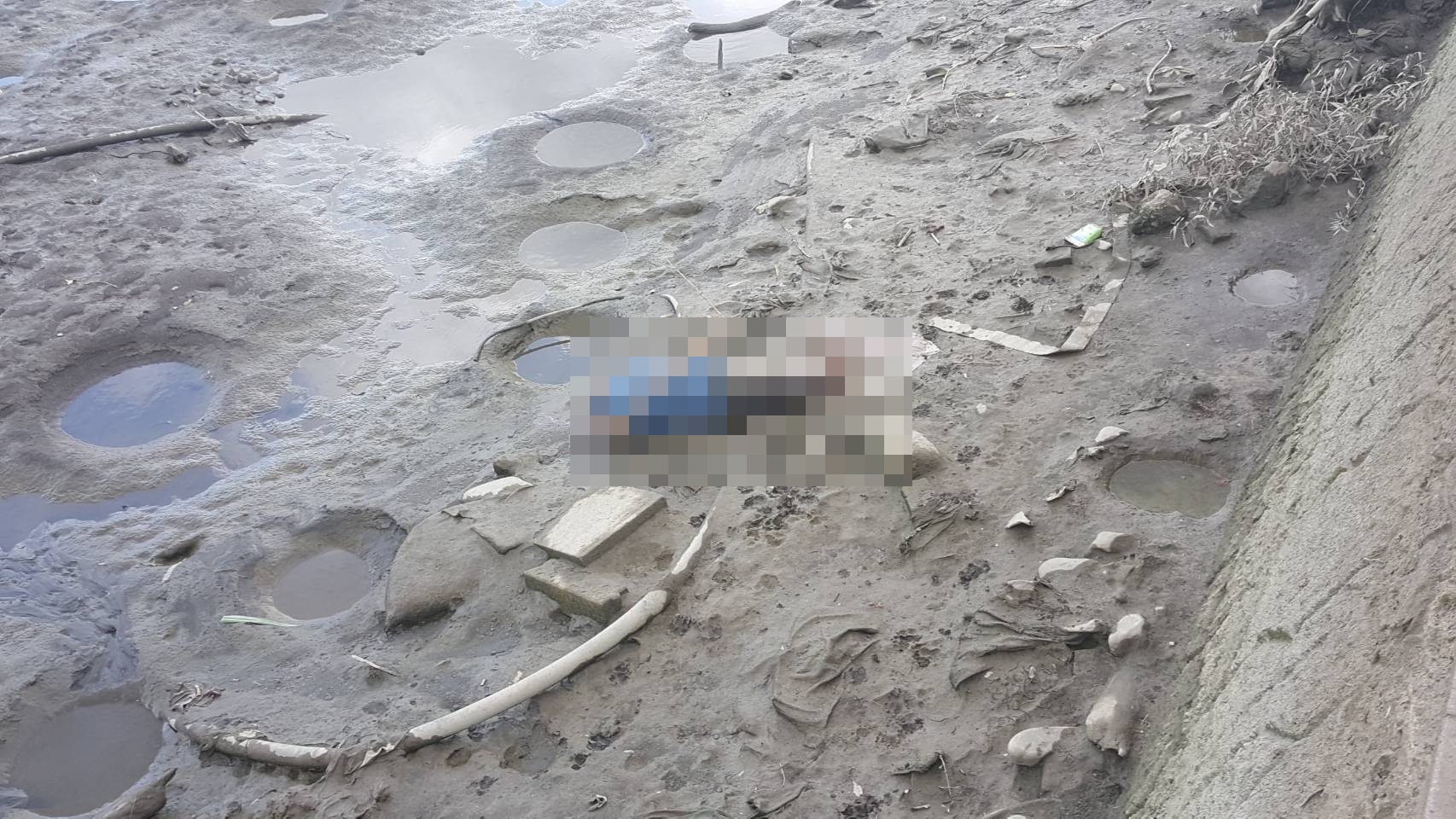 外語老師Ryan被發現遭砍下頭顱、四肢等，棄屍於永和區中正橋下河堤。（翻攝畫面）