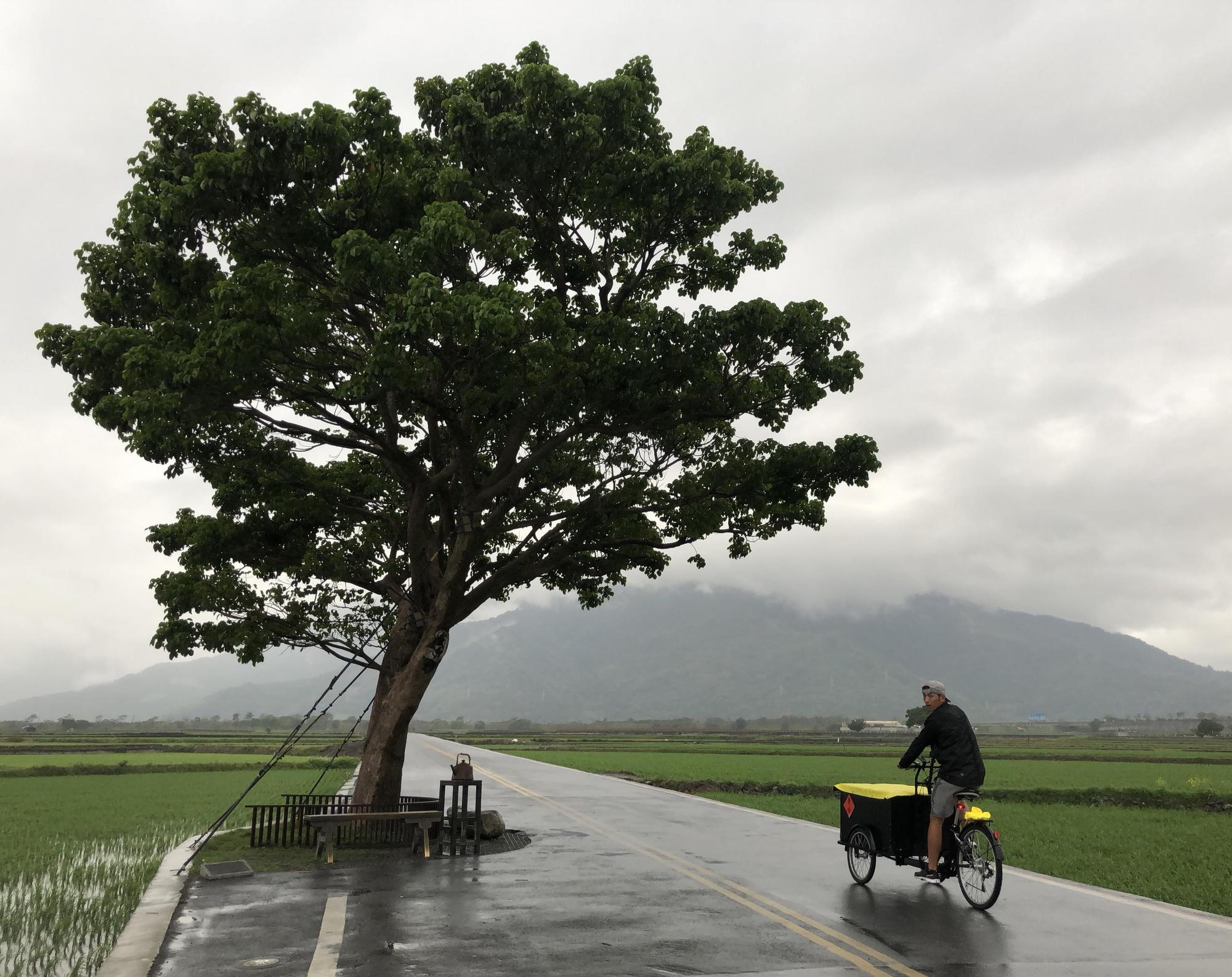 趙駿亞在這次騎三輪車環島的行程中，與著名的「金城武樹」合影。（海納百川娛樂提供）