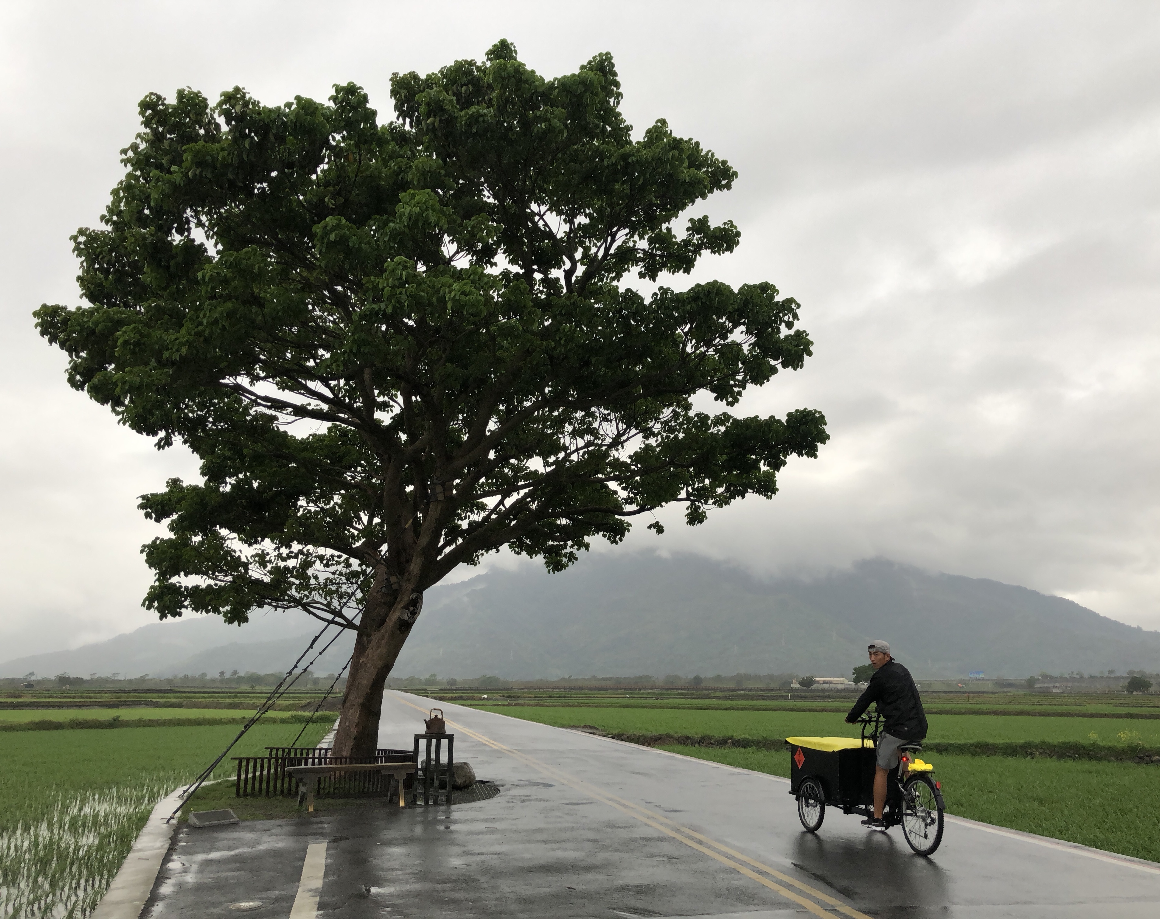 趙駿亞在這次騎三輪車環島的行程中，與著名的「金城武樹」合影。（海納百川娛樂提供）