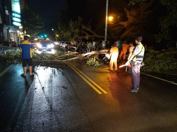 水林、口湖等地昨天下午起狂風暴雨多處路樹倒塌、停電,北港分局員警冒雨移樹及交管。(警方提供)