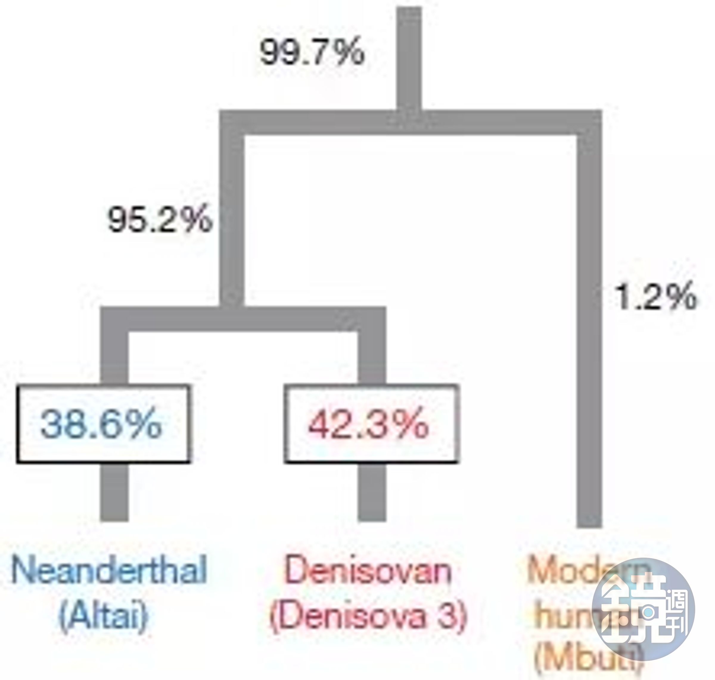 混血兒Denisova11的DNA譜系來源（來源：Nature）