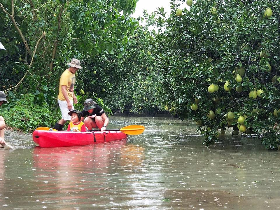 紅色小艇穿梭在低矮果樹叢中，網友說場景像極了亞馬遜河。