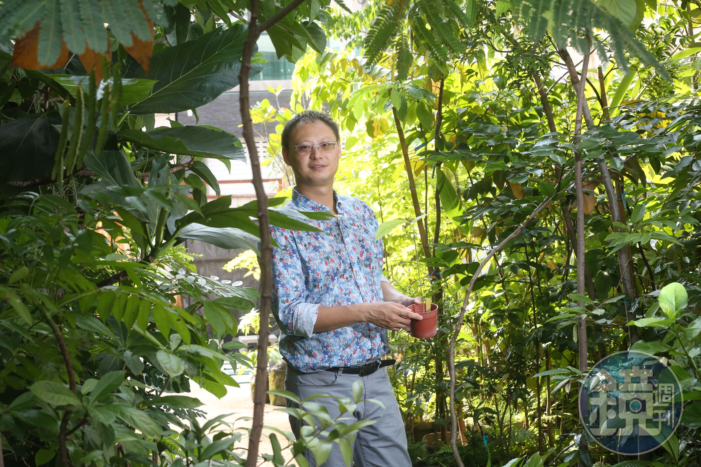 王瑞閔為了收集植物還特別租了一塊空地，他手上捧的植物是曾經在日治時引進台灣，後遭棄置，目前台灣所剩不多的美洲橡膠樹。