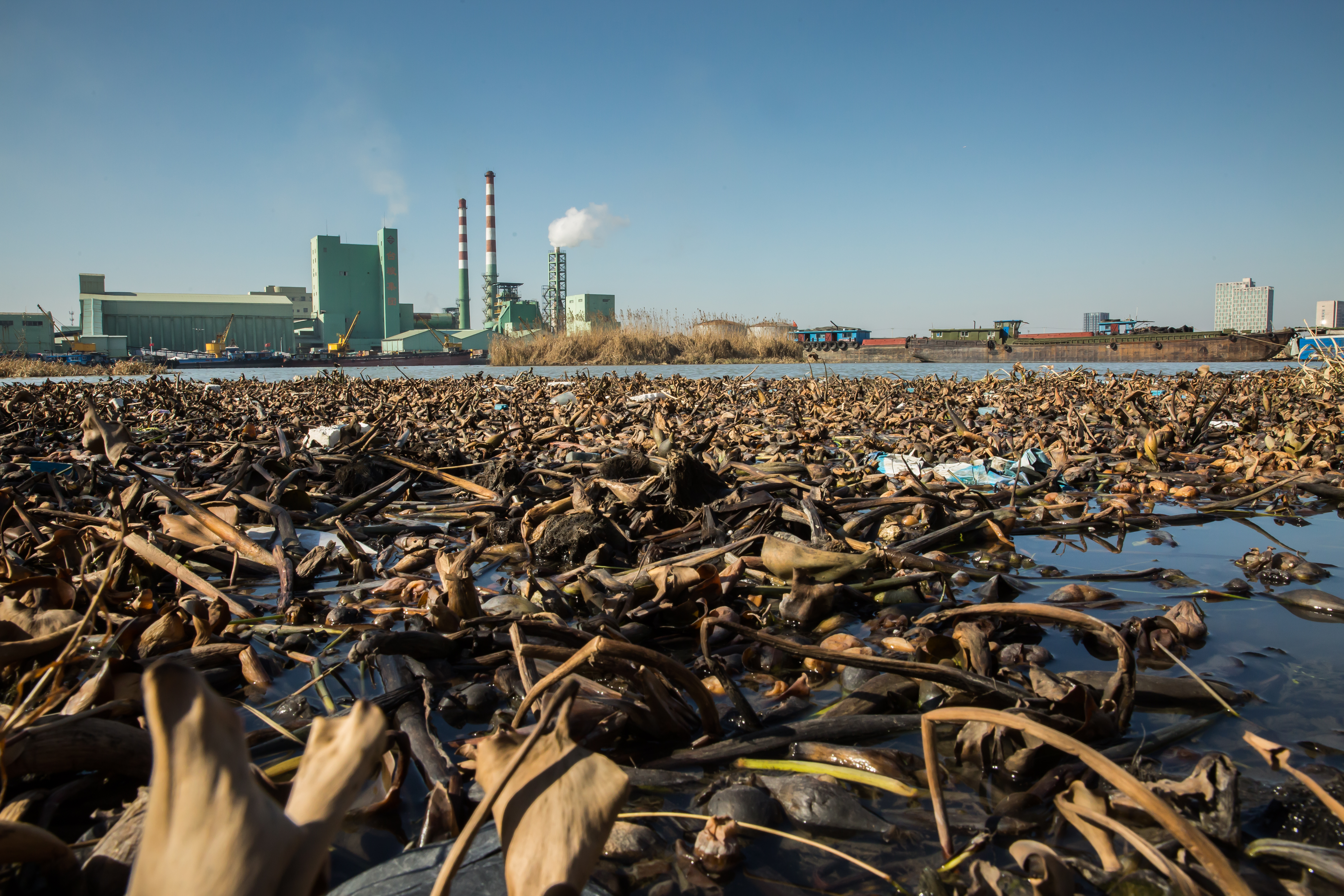 台商過去大舉西進，如今卻有加速逃離的現象。