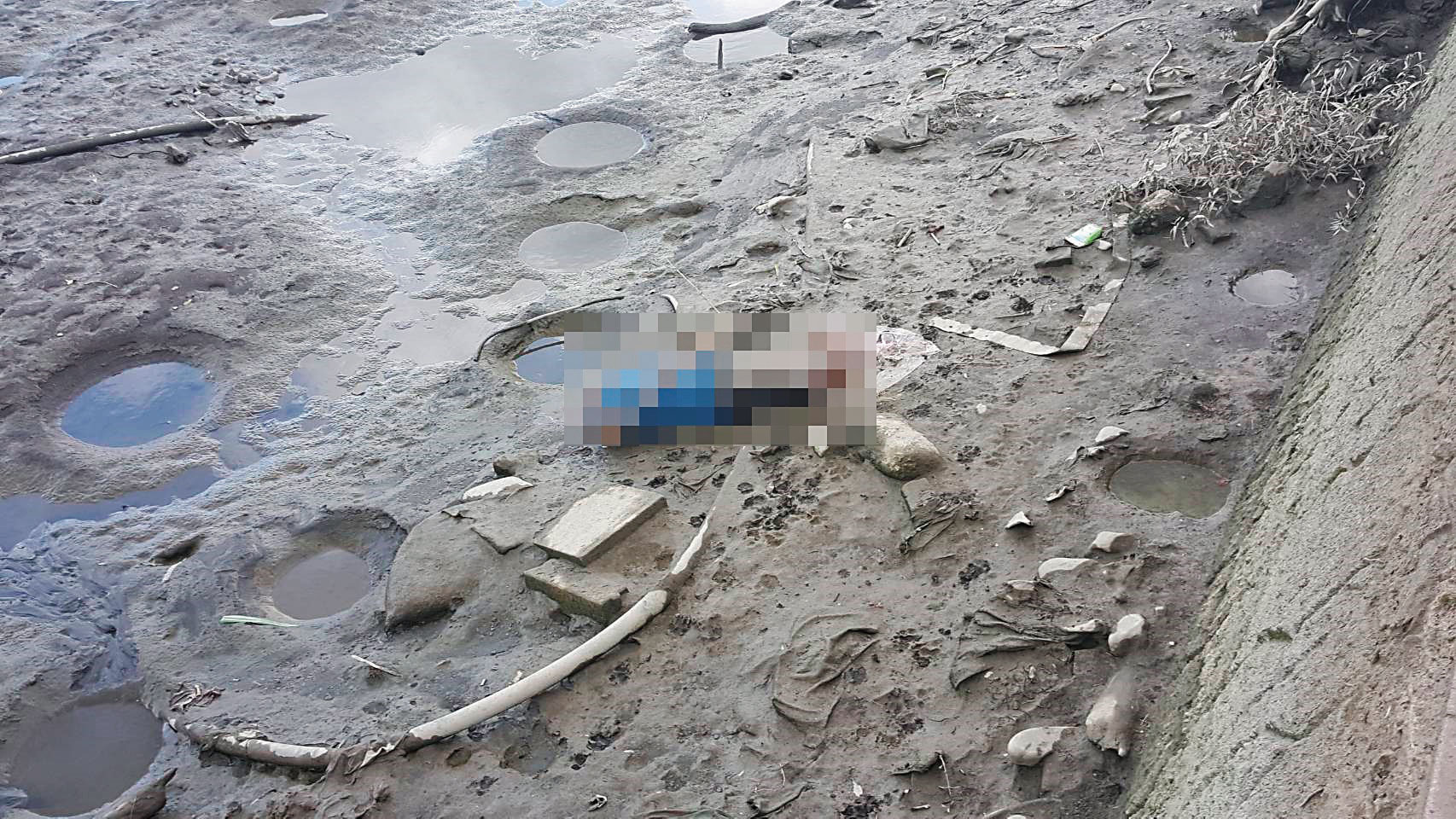 加拿大籍男子Ryan遭殺害後被砍掉頭顱及四肢，棄屍在中正橋下河堤旁。（翻攝畫面）