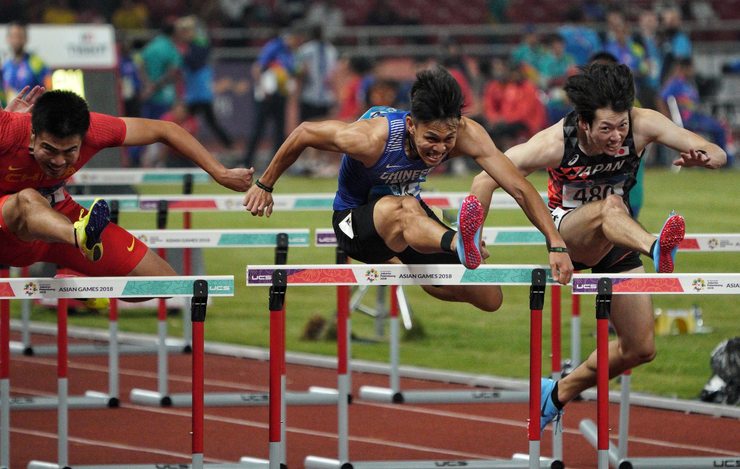 陳奎儒在本屆亞運男子110公尺跨欄決賽中，奔出台灣睽違亞運20年的徑賽獎牌。（中華奧會提供）