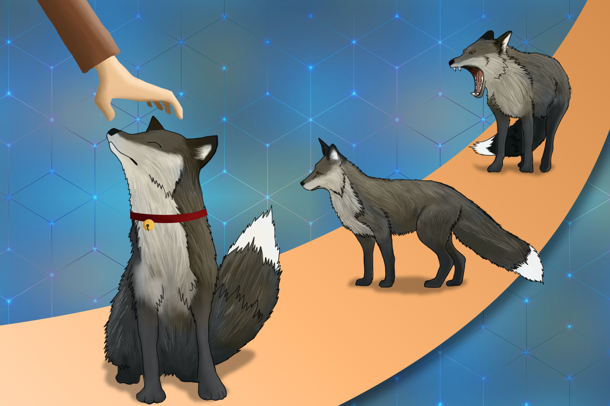 【王道還科普專欄】拒絕長大的孩子