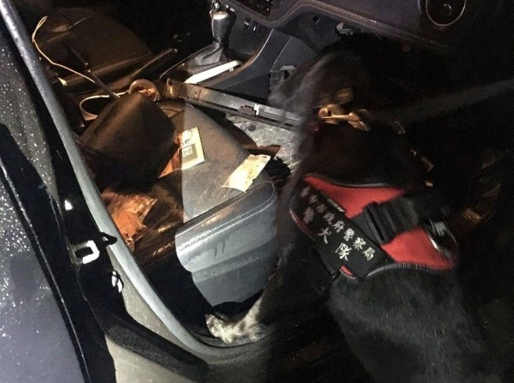 緝毒犬趕抵不到3分鐘即嗅聞出藏匿毒品。(警方提供)