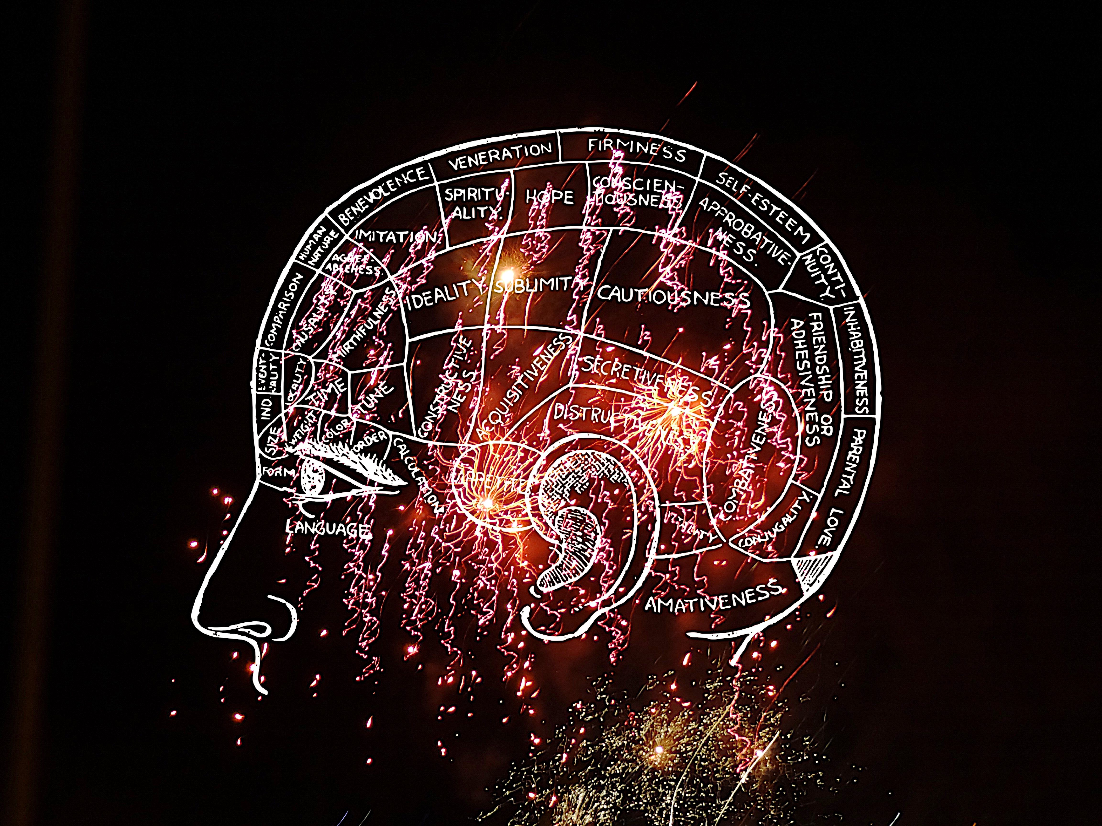 學習語言能力強大的多語通（polyglot），是否先天腦部結構有異於常人之處？（東方IC）