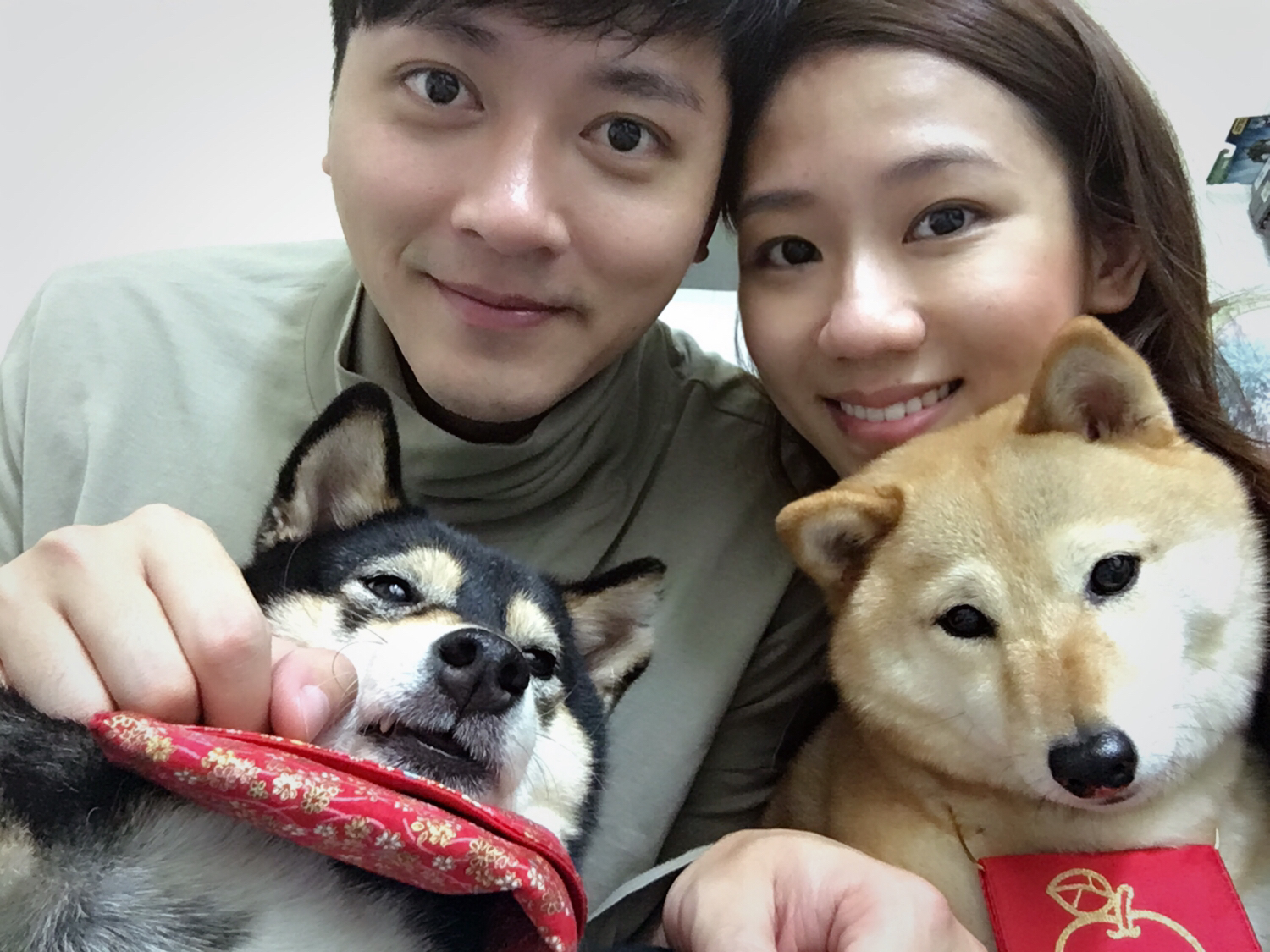 馬俊麟和愛妻領養2隻柴犬。(民視提供)