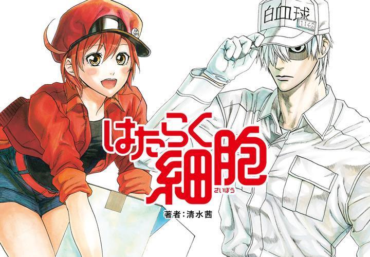 今年夏天紅什麼?《工作細胞》選我正解。