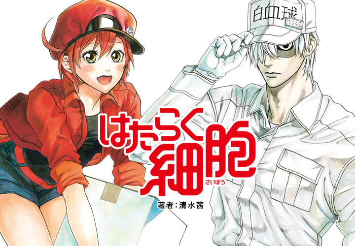 今年夏天紅什麼？《工作細胞》選我正解。