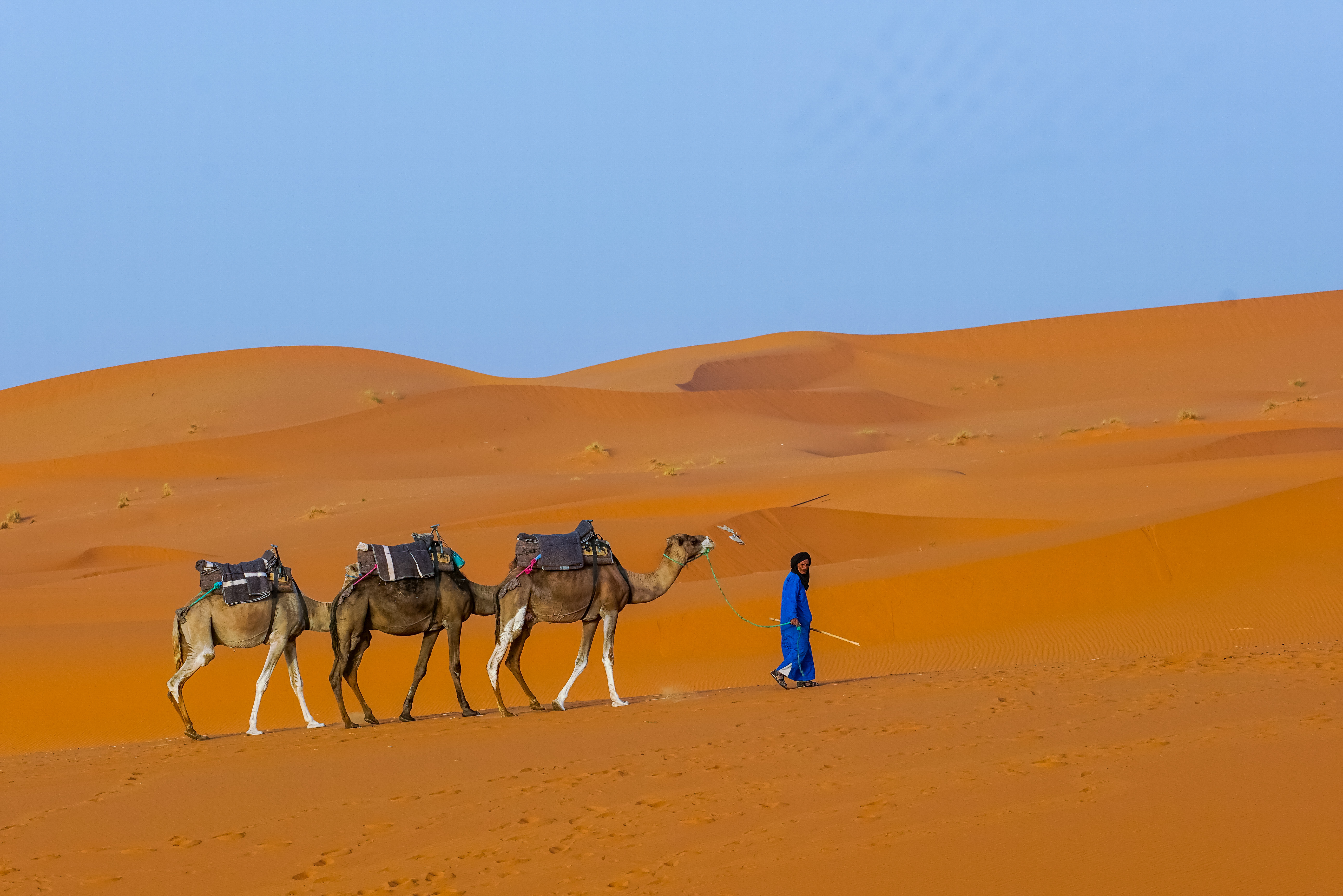 進入撒哈拉沙漠，在沙丘上騎乘駱駝，是許多旅客會進行的體驗。