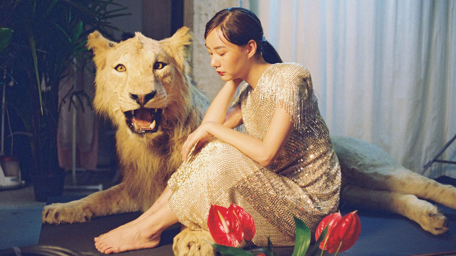 女星因為另一個女星意外過世而得利，人與獅之間，有點呼應。（鏡象電影提供）