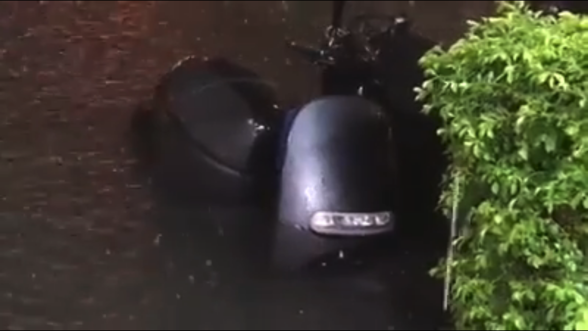 價值9萬多元的Gogoro直接泡在水中。（翻攝畫面）