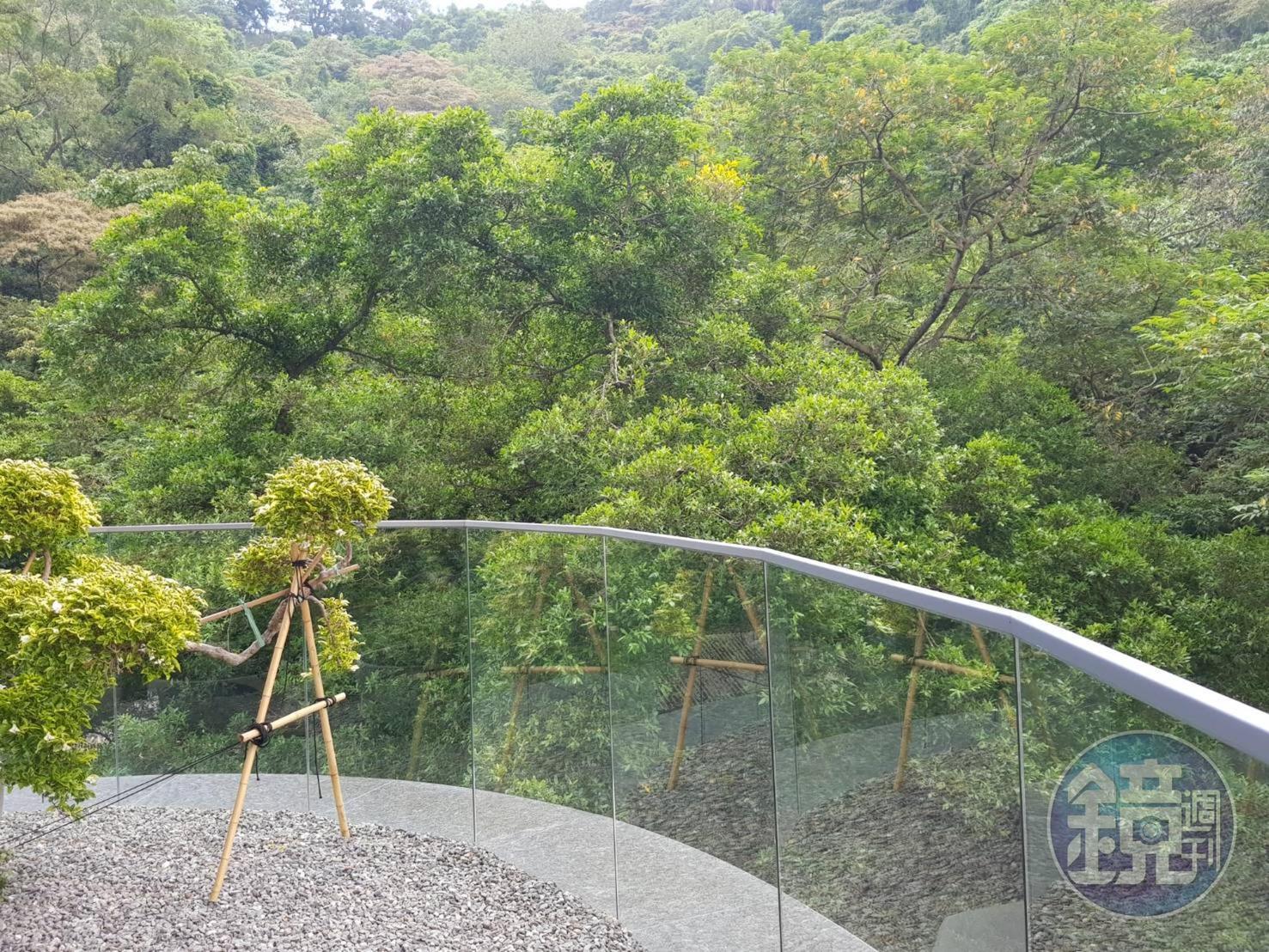ade12賣的是「無價窗景」,戶戶有直接能觸摸到象山原生樹種的大景觀陽台。