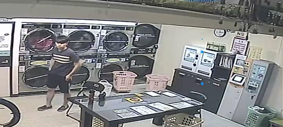 竊賊光明正大偷走烘衣店的粉紅色內衣，其畫面則被被害人放上網路公審。（翻攝畫面）