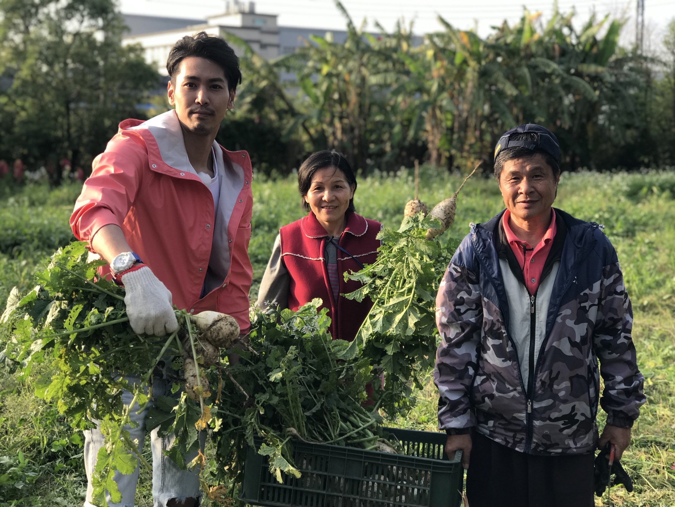 陳德烈主持全新節目，下鄉和小農們一起拔菜。（大朝電視傳媒）