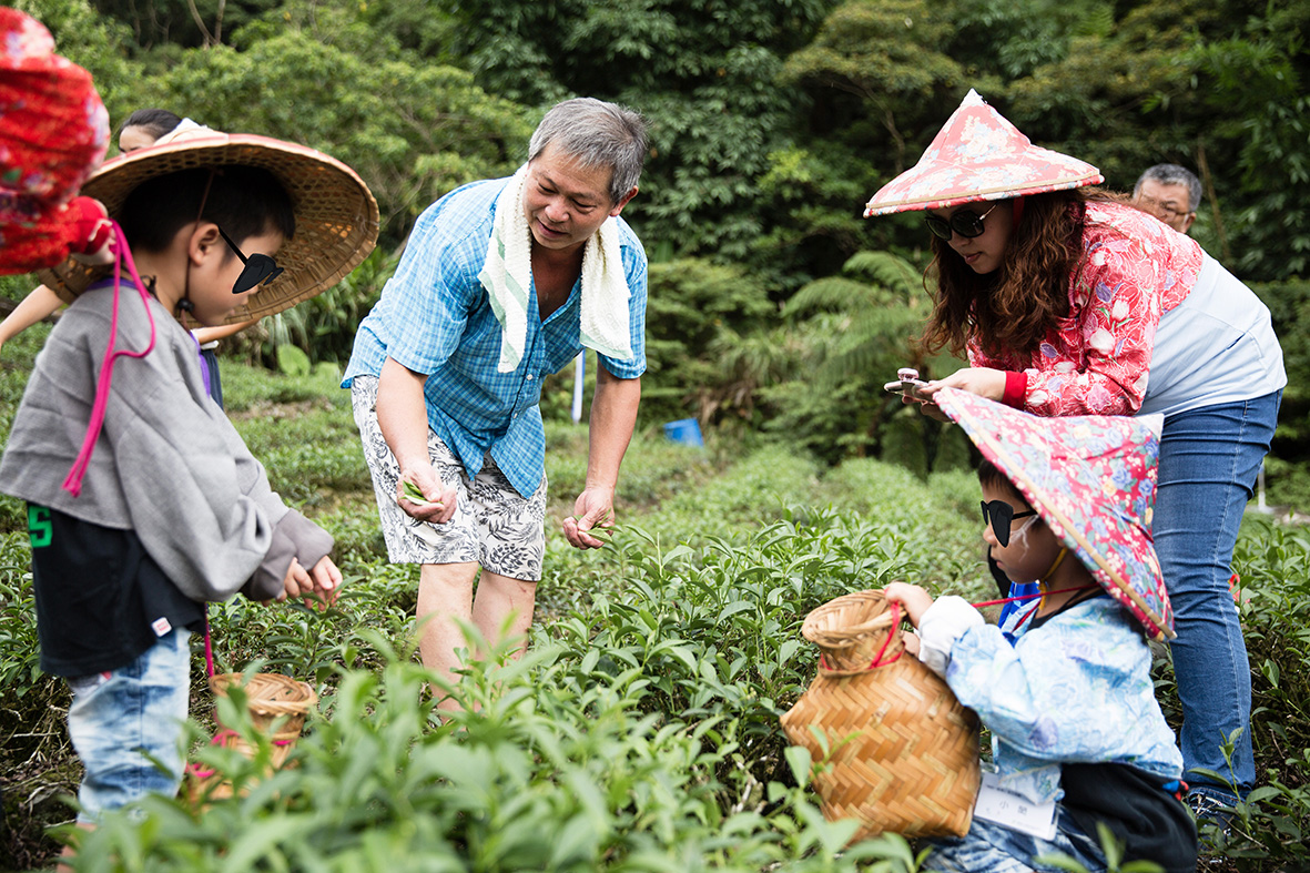 【守護台灣專題】支持友善農業！全球人壽首推「我的一畝茶」公益計畫