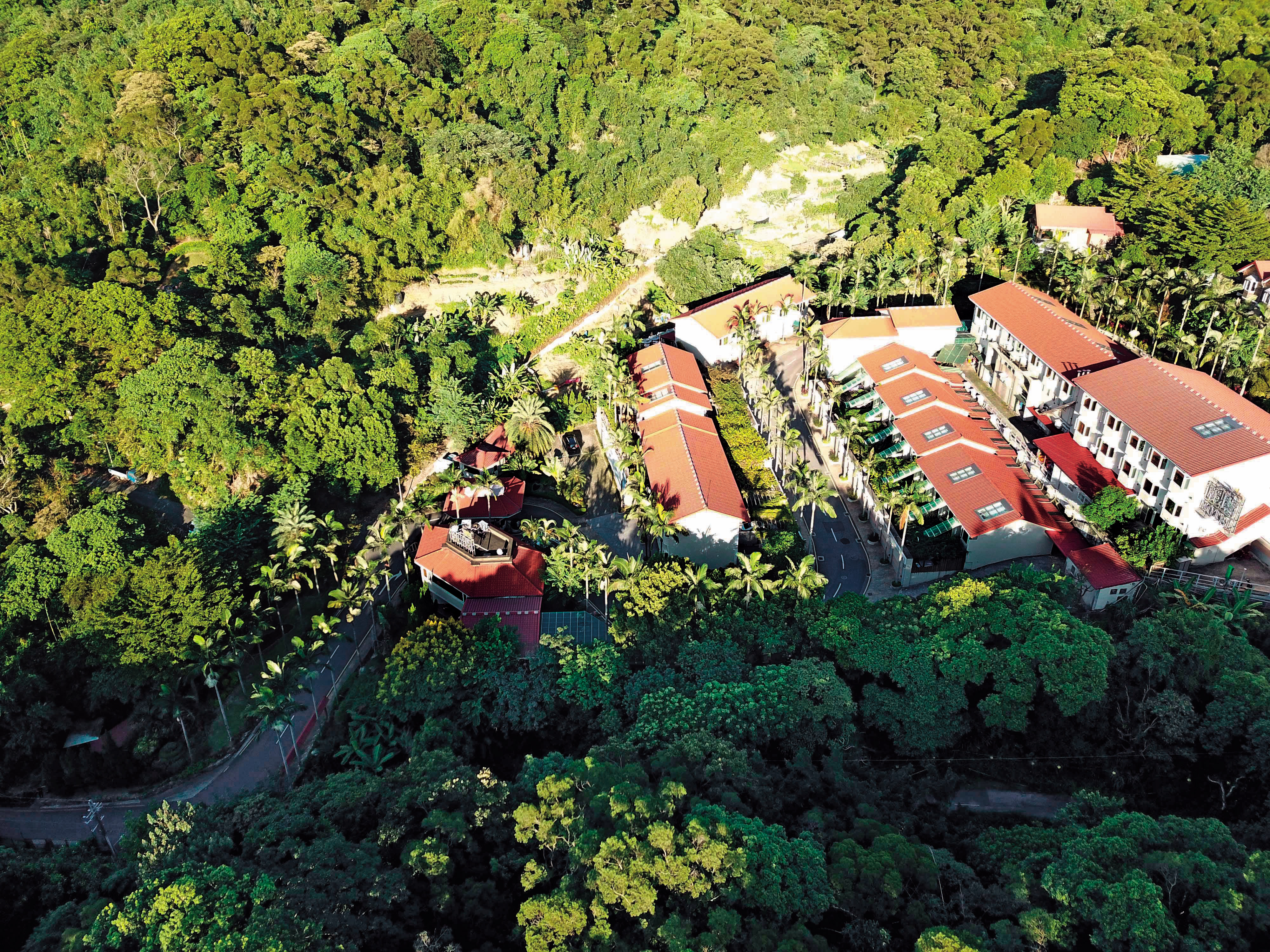 偷情摩鐵位於偏僻山區，只有一條聯外道路。