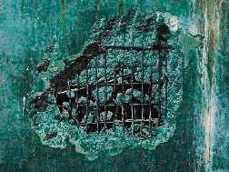 內湖汙水處理廠的次氯酸鈉槽體遭廠商施工誤打破損，導致毒水外流，重創基隆河生態。（讀者提供）