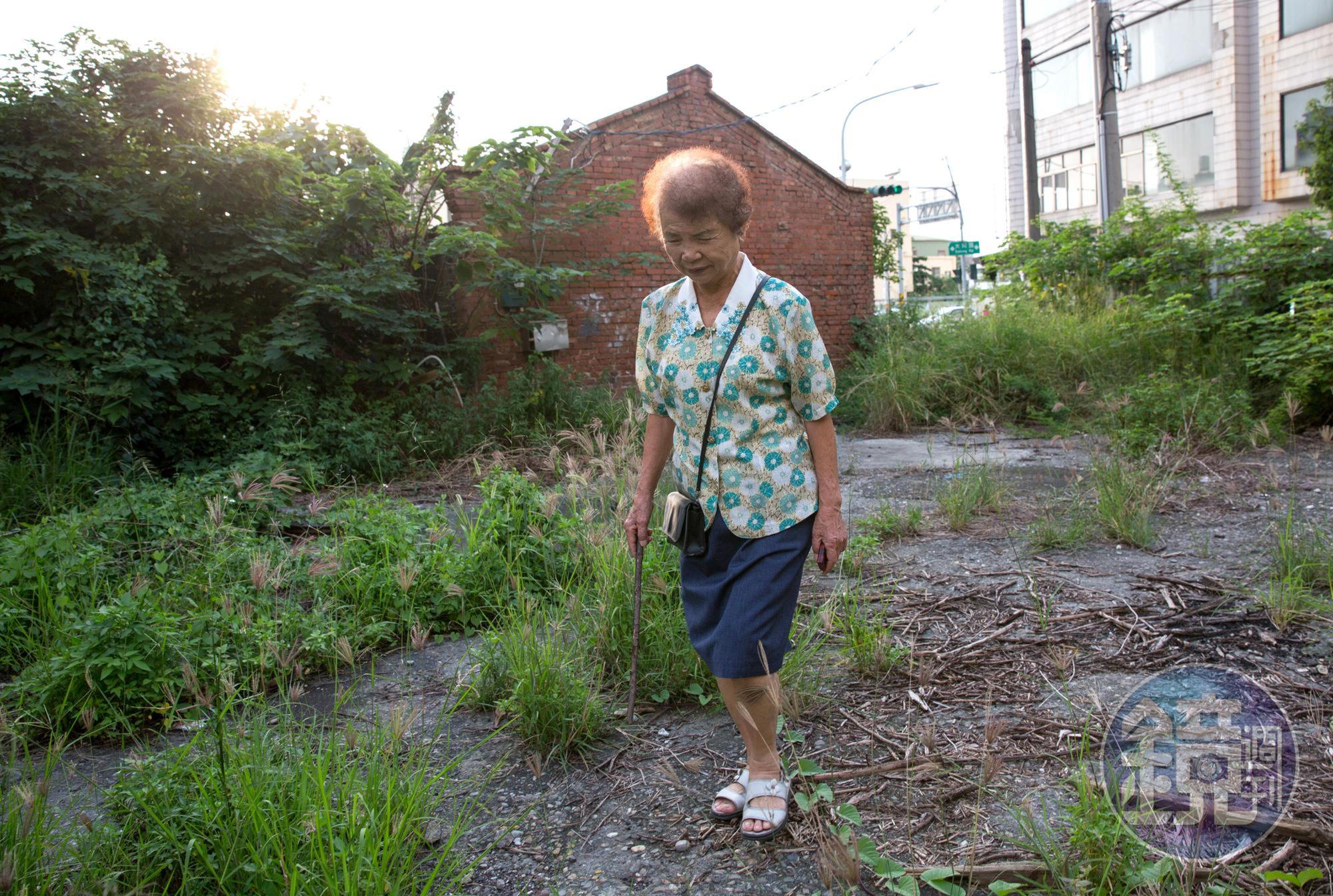 陳楊麗蓉來到水泥瓦工廠遺址,如今已成為一片空地,過去的機械器具都不在了。
