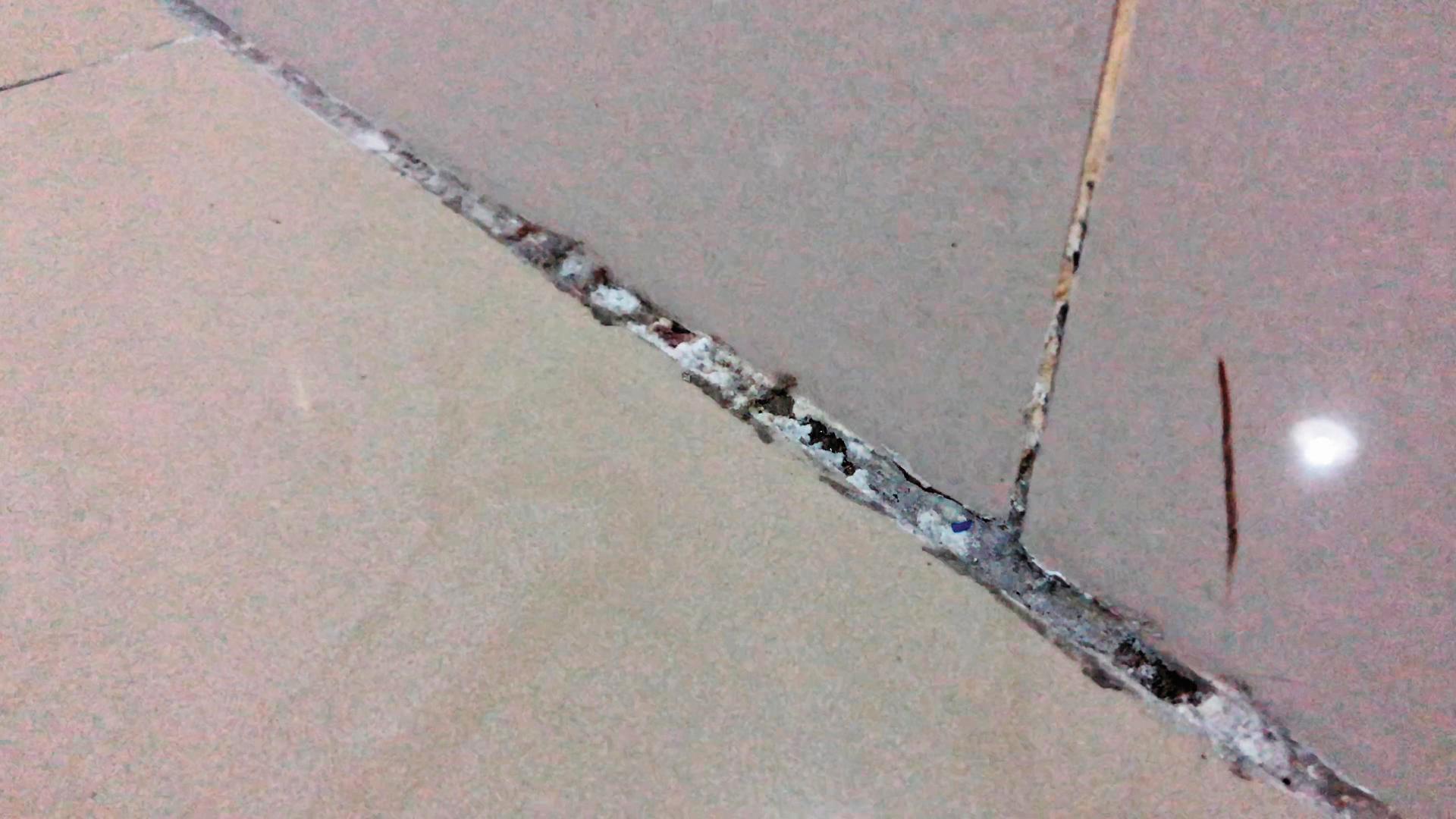 剛完成交屋的北大安置宅地板已出現龜裂的狀況。