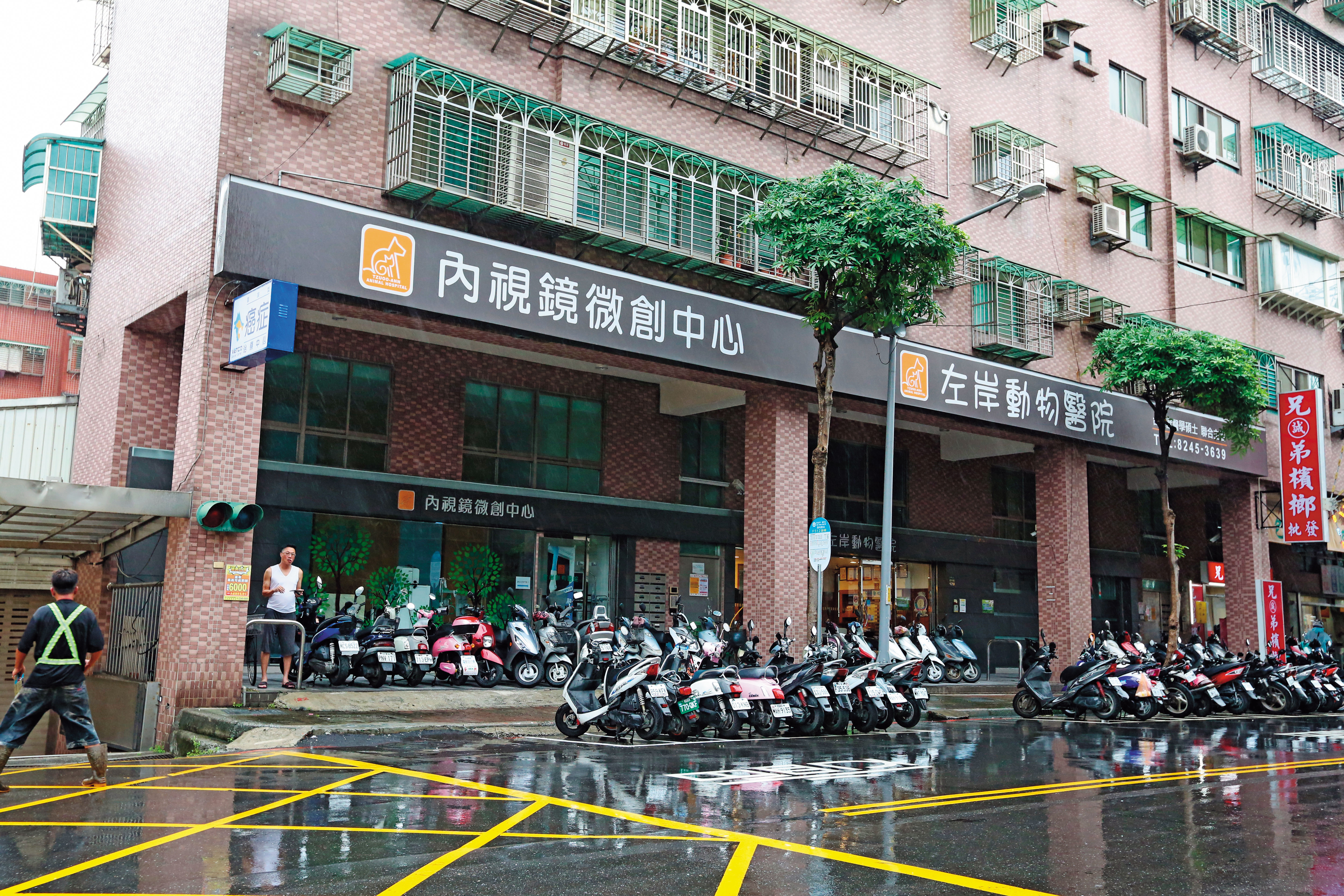左岸動物醫院主打內視鏡微創手術，在寵物醫學界頗負盛名。