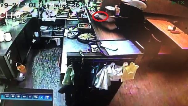 初姓嫌犯在韓料料理店趁機偷走老闆娘手機。(翻攝畫面)