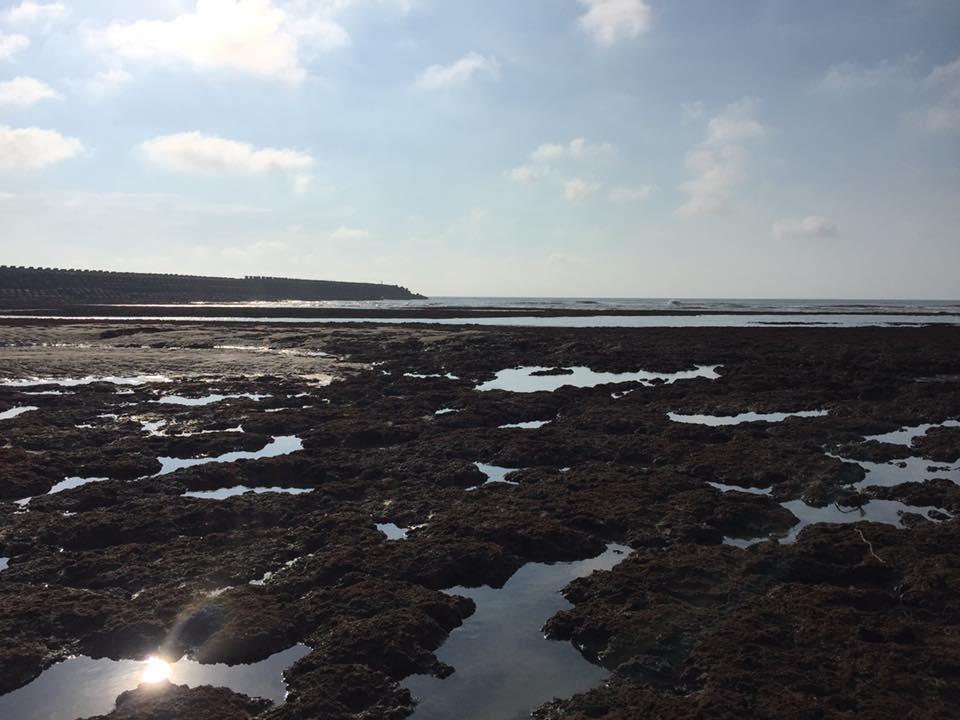 中油打算在桃園珍貴的藻礁生態地建第三天然氣接收站,受民眾大力反對。(翻攝自珍愛桃園藻礁)