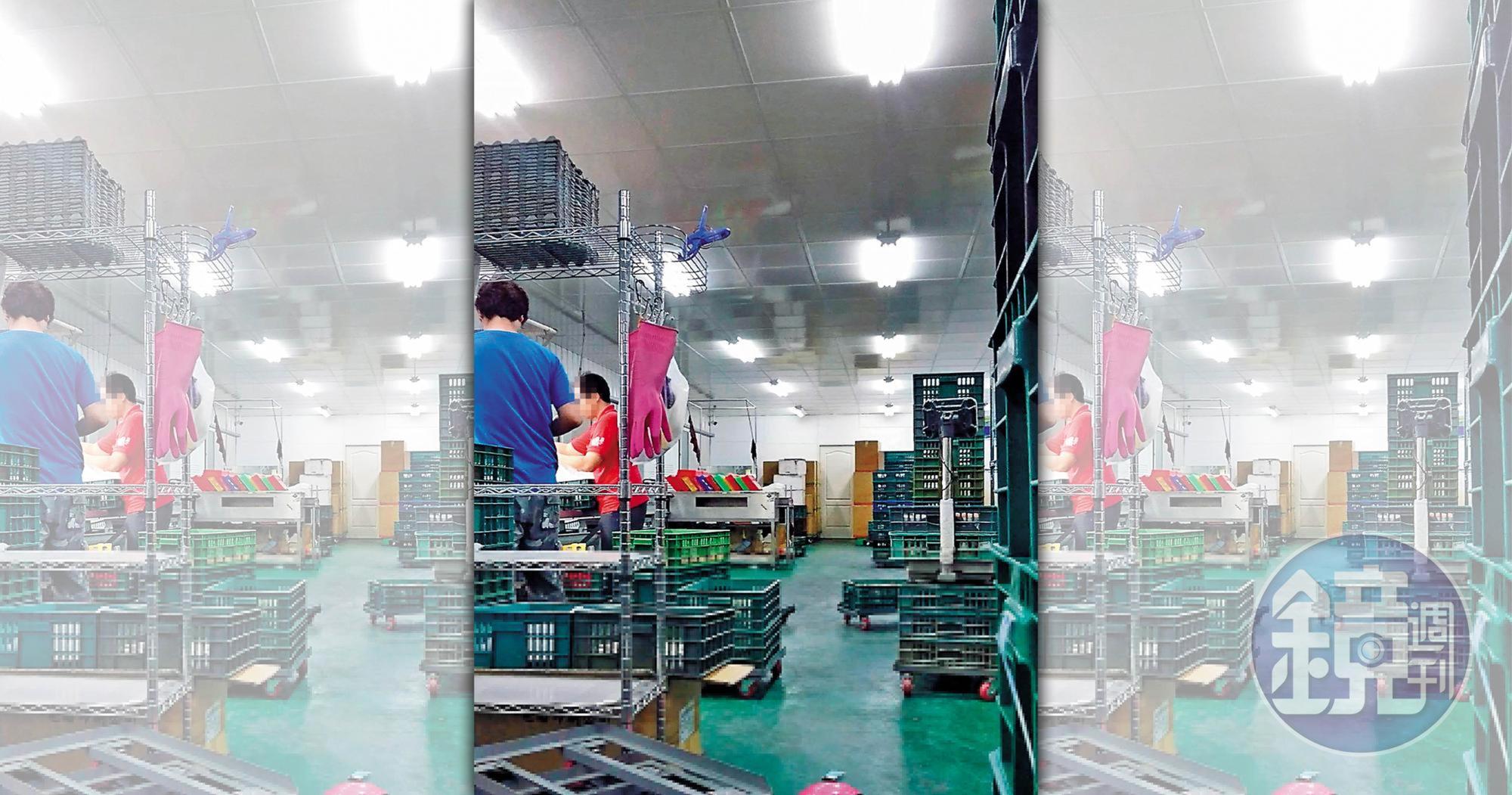 義進金食品公司涉嫌為即期蛋品改標，圖為去年仁武洗選廠內部運作情形。