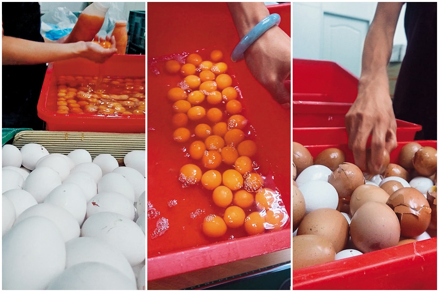 義進金食品公司被遭踢爆回收即將過期、逾期的蛋品，混入新鮮蛋中。