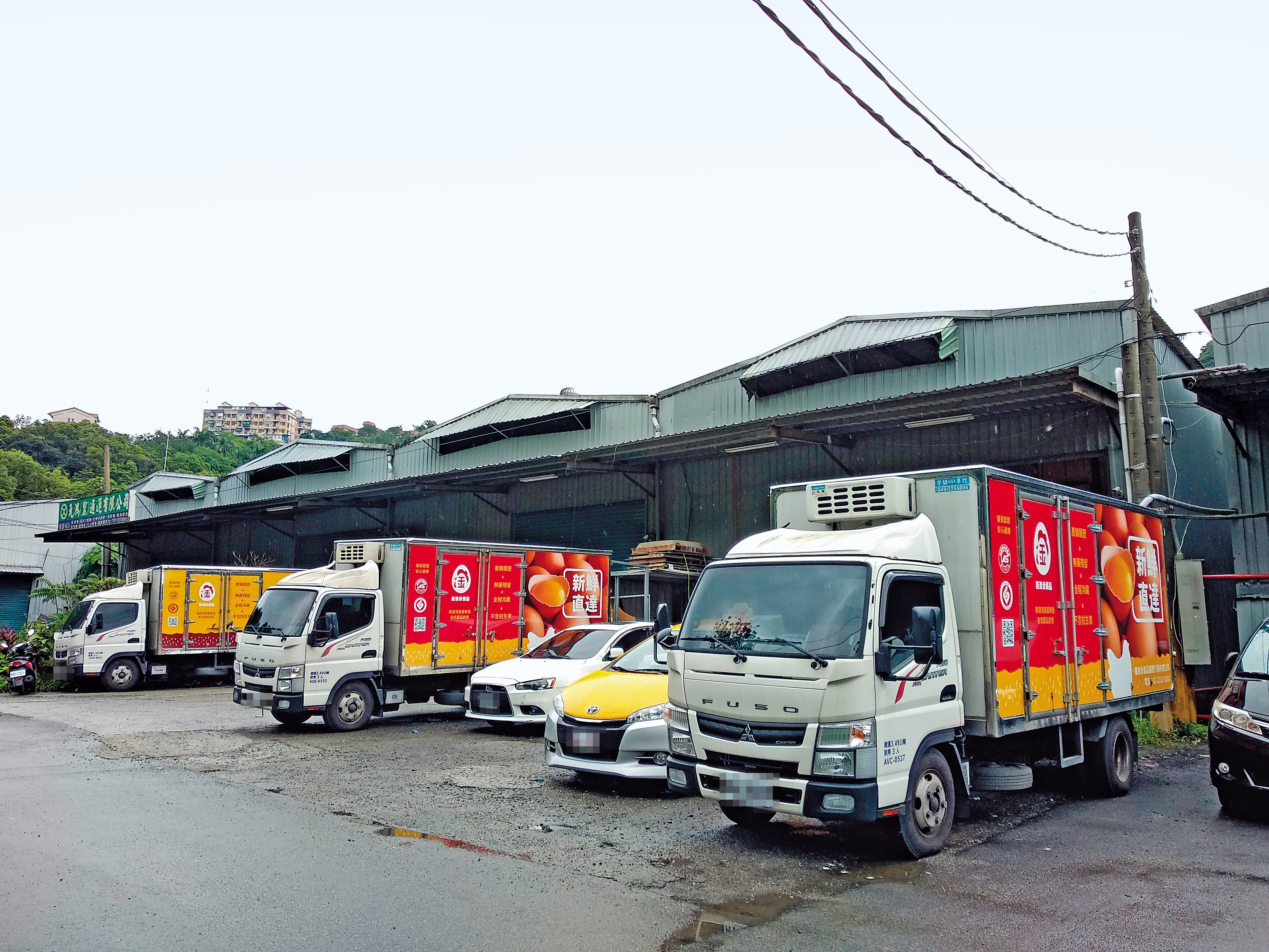 義進金食品公司旗下蛋廠遭員工爆料回收超市即期蛋品。