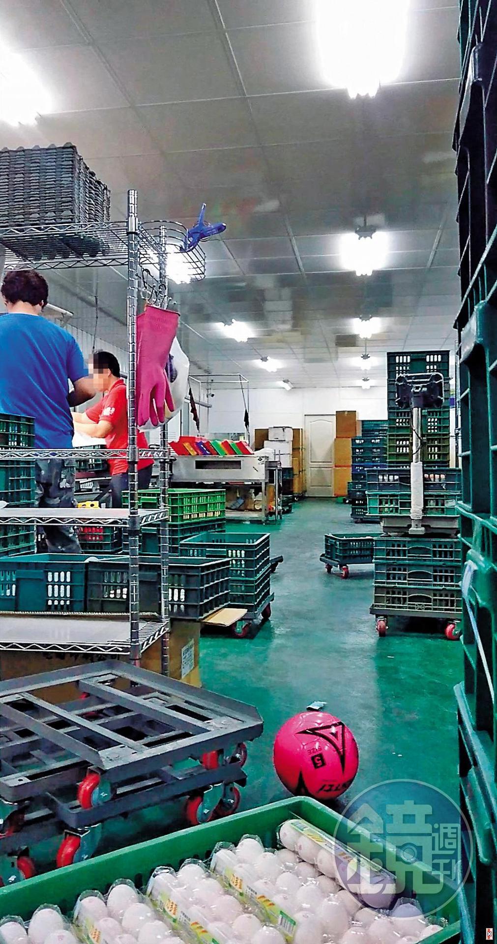義進金食品公司涉嫌為即期蛋品改標，圖為去年仁武洗選廠內部運作情形。