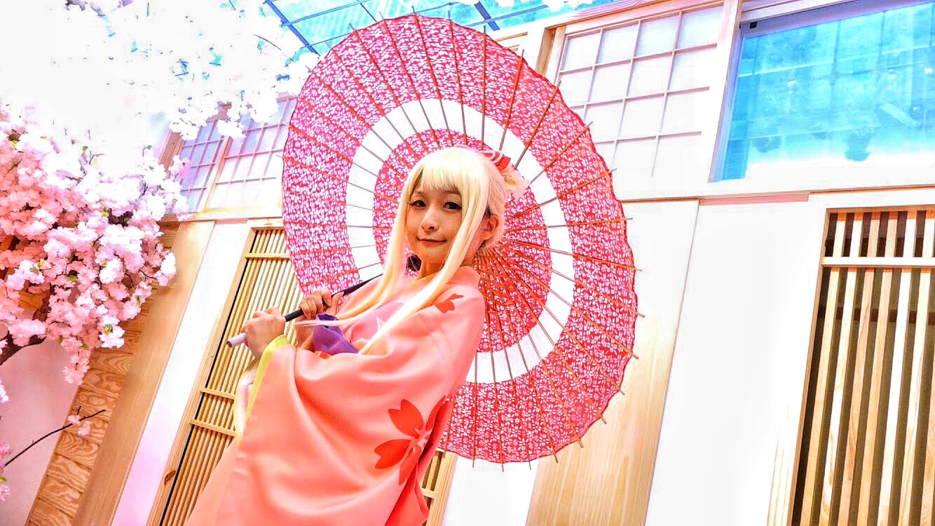 《Fate》的伊莉雅是毛毛的愛角之一。