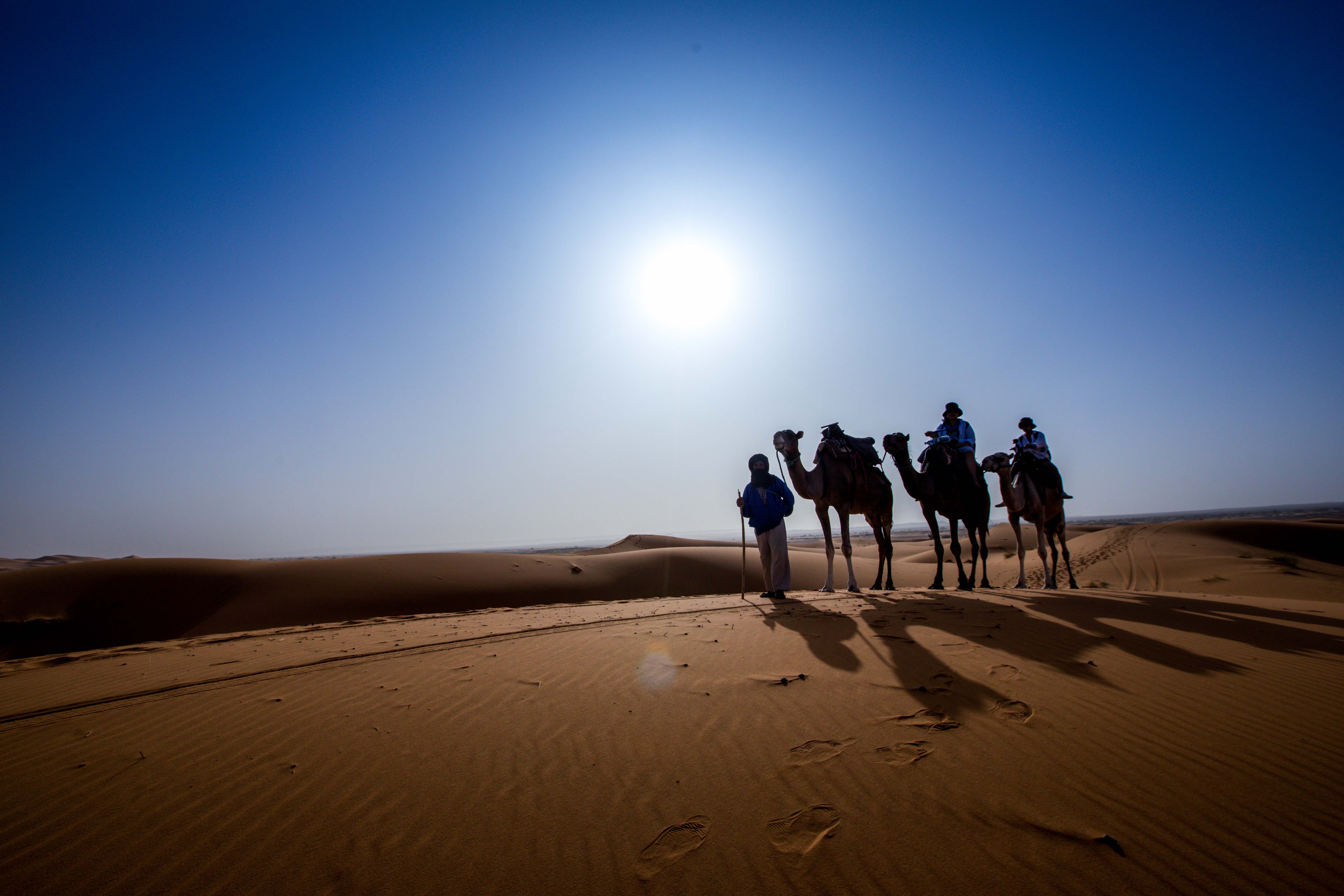 早上10點沙漠高溫難耐，皮膚有如火在燒，相機也熱當機。