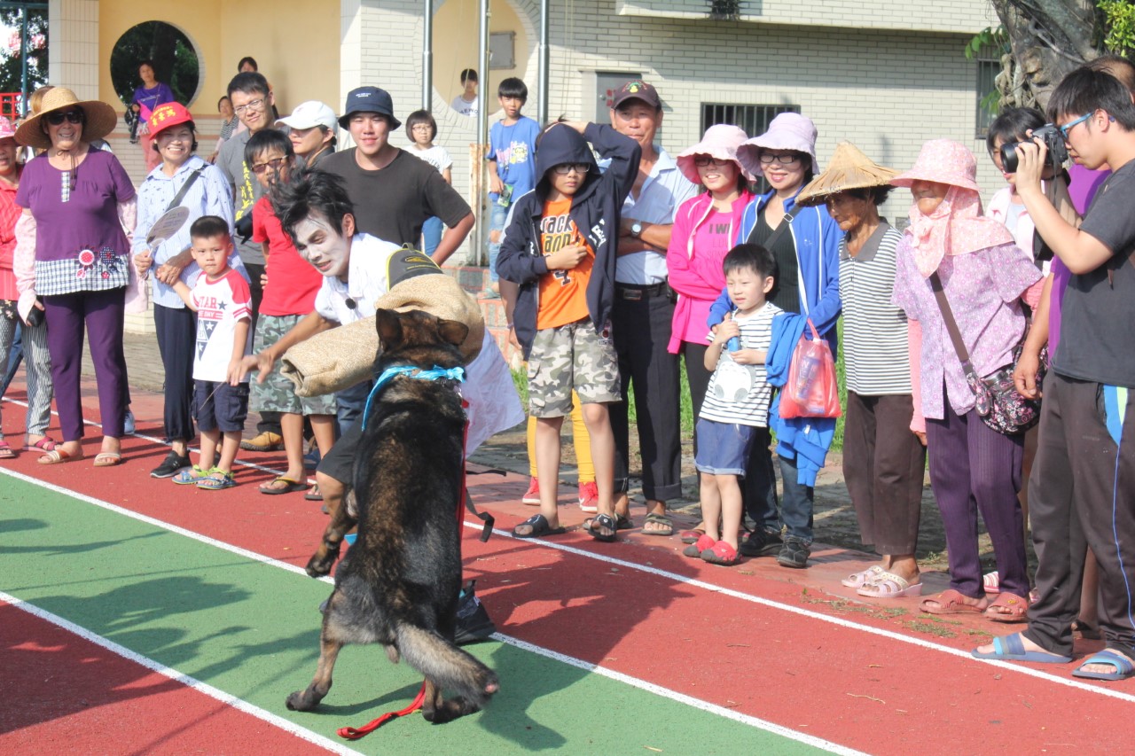 阿翔搏命演出，還被訓練狼犬狠咬。（民視提供）