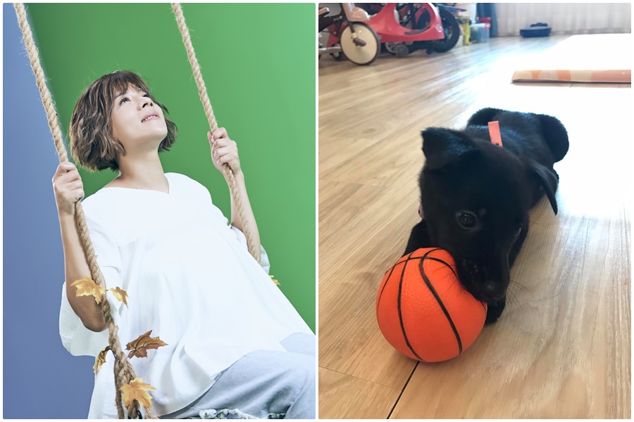 江美琪最近領養了狗狗黑糖。（翻攝自江美琪臉書）