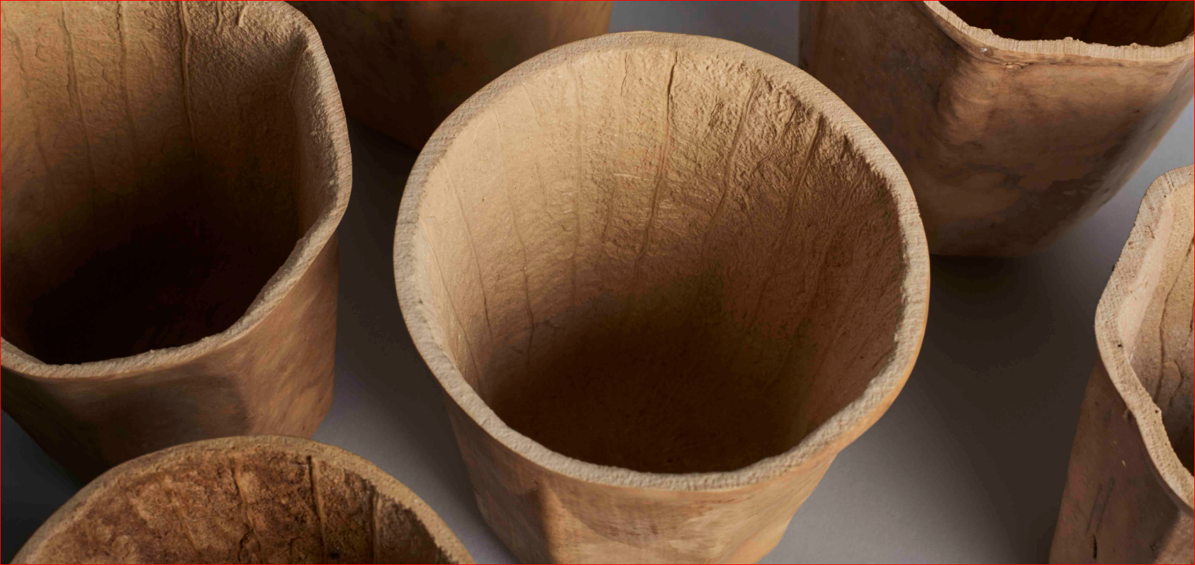 由瓠瓜自然生長成型的「咖啡杯」，是環保商品生力軍（ Creme design官網）