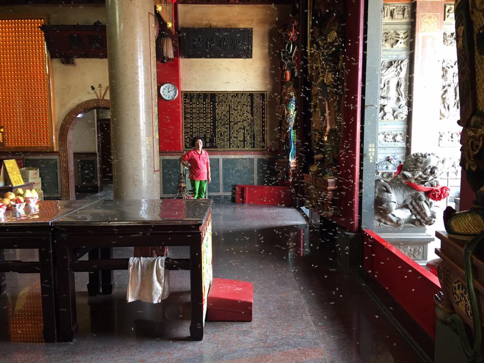 甘澍宮湧來數萬隻蜜蜂群聚飛舞，讓廟方相當興奮。（翻攝自永靖甘澍宮臉書）