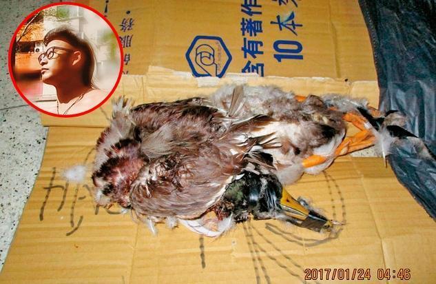 去年那豪與友人攜帶弓箭前往金獅湖,竟獵殺湖內的鴨子煮薑母鴨。(翻攝自網路)