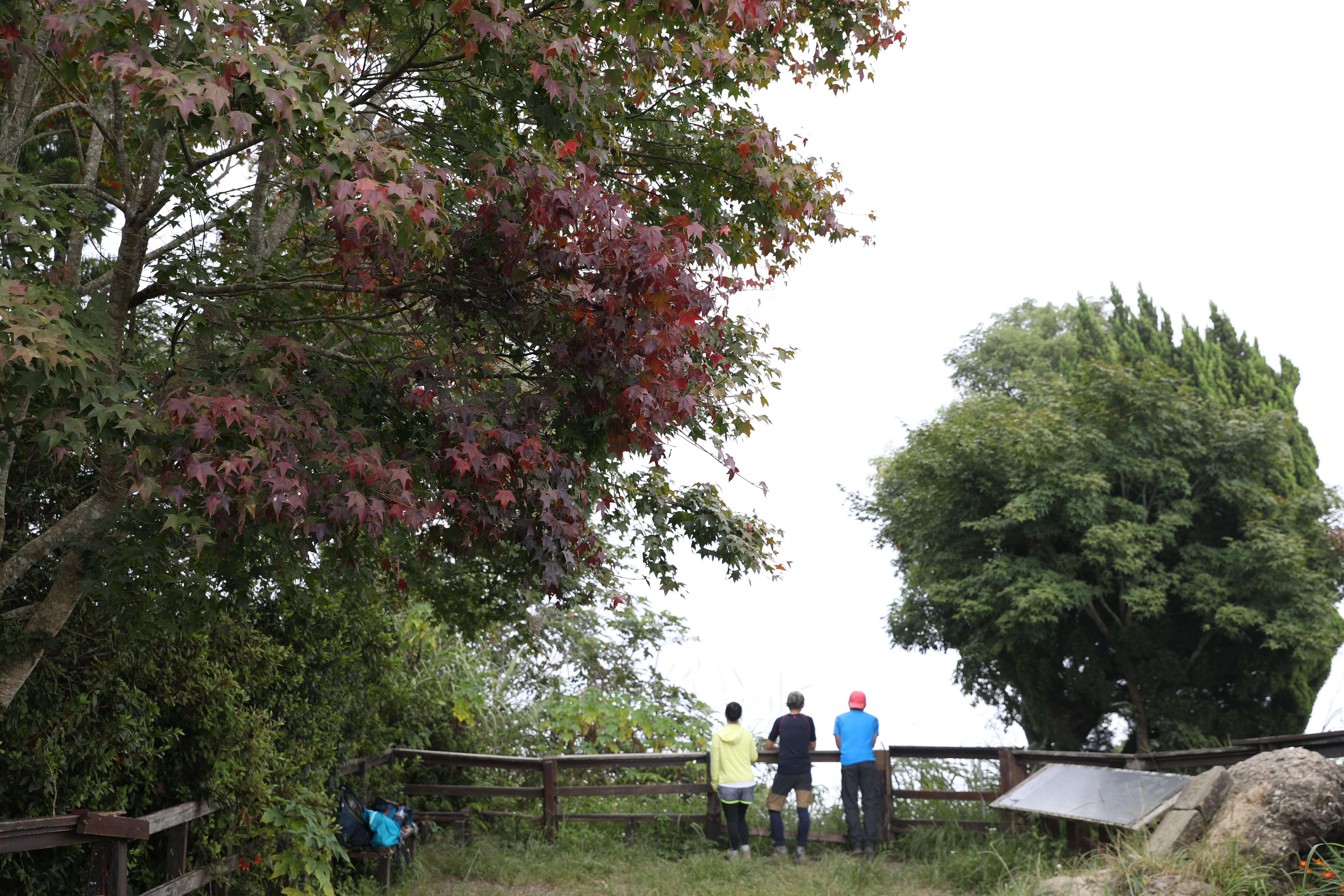 馬那邦山若遇天氣晴朗，視野相當廣闊。
