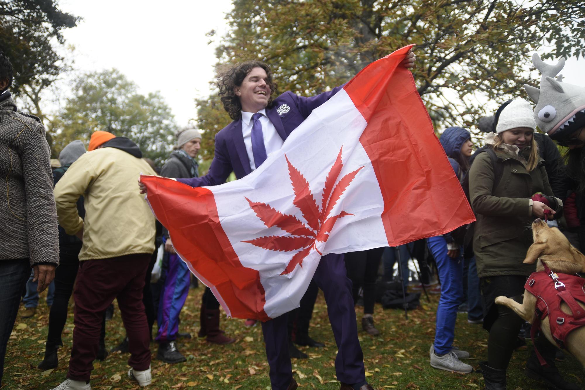 加拿大昨日(17日)正式通過娛樂用大麻合法化,是繼烏拉圭之後世界第二個大麻合法化國家。(東方IC)
